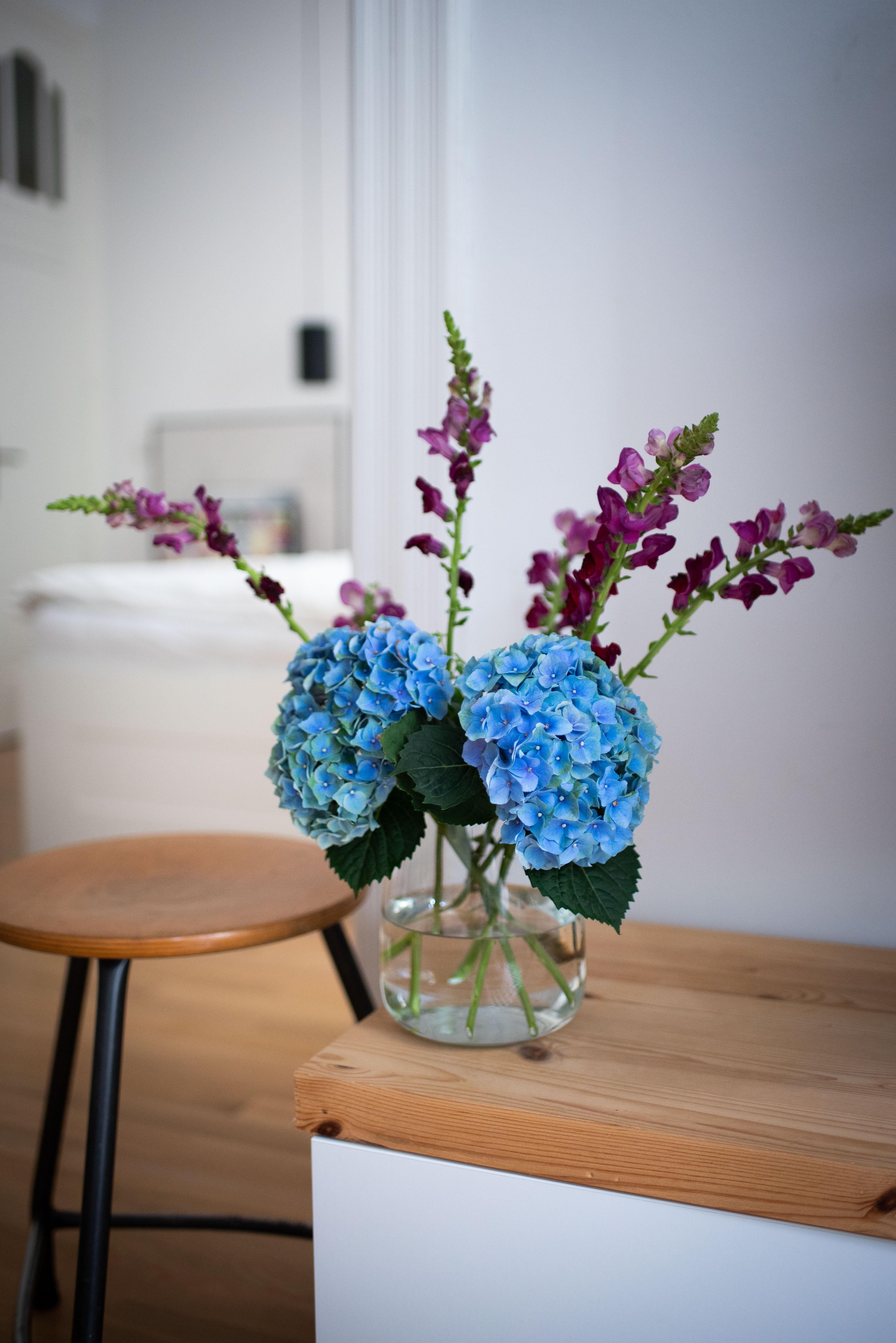 Heute ganz schlicht aus Glas #vasensammlung #vase #minimalism #hortensien #interiordesign #vintage #ikeahack