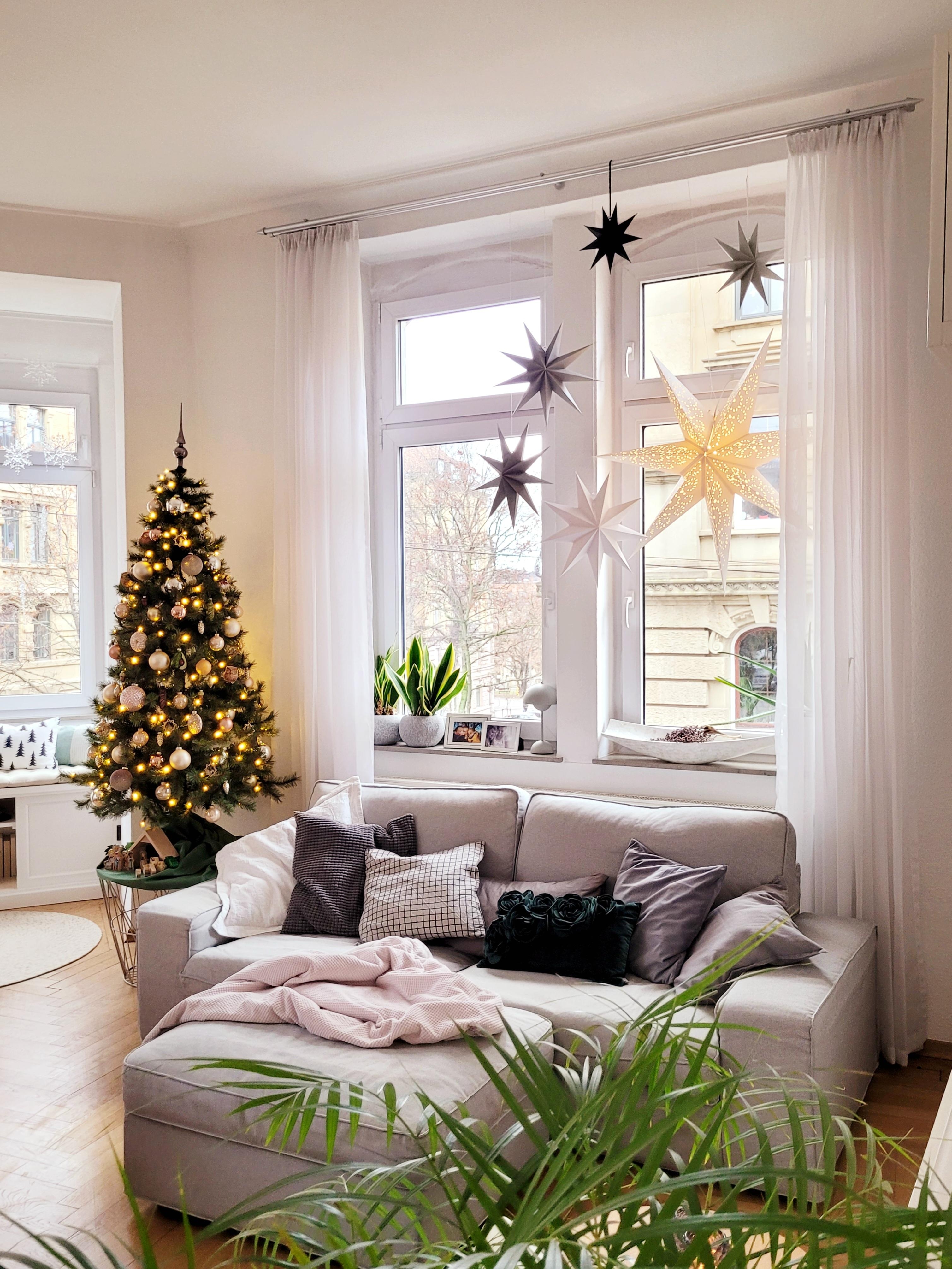 Heute geht es ans Geschenke verpacken!
#Wohnzimmer #altbau #Tannenbaum #Weihnachtsdeko #Weihnachtszeit #dekoration #xmas #fensterbank 