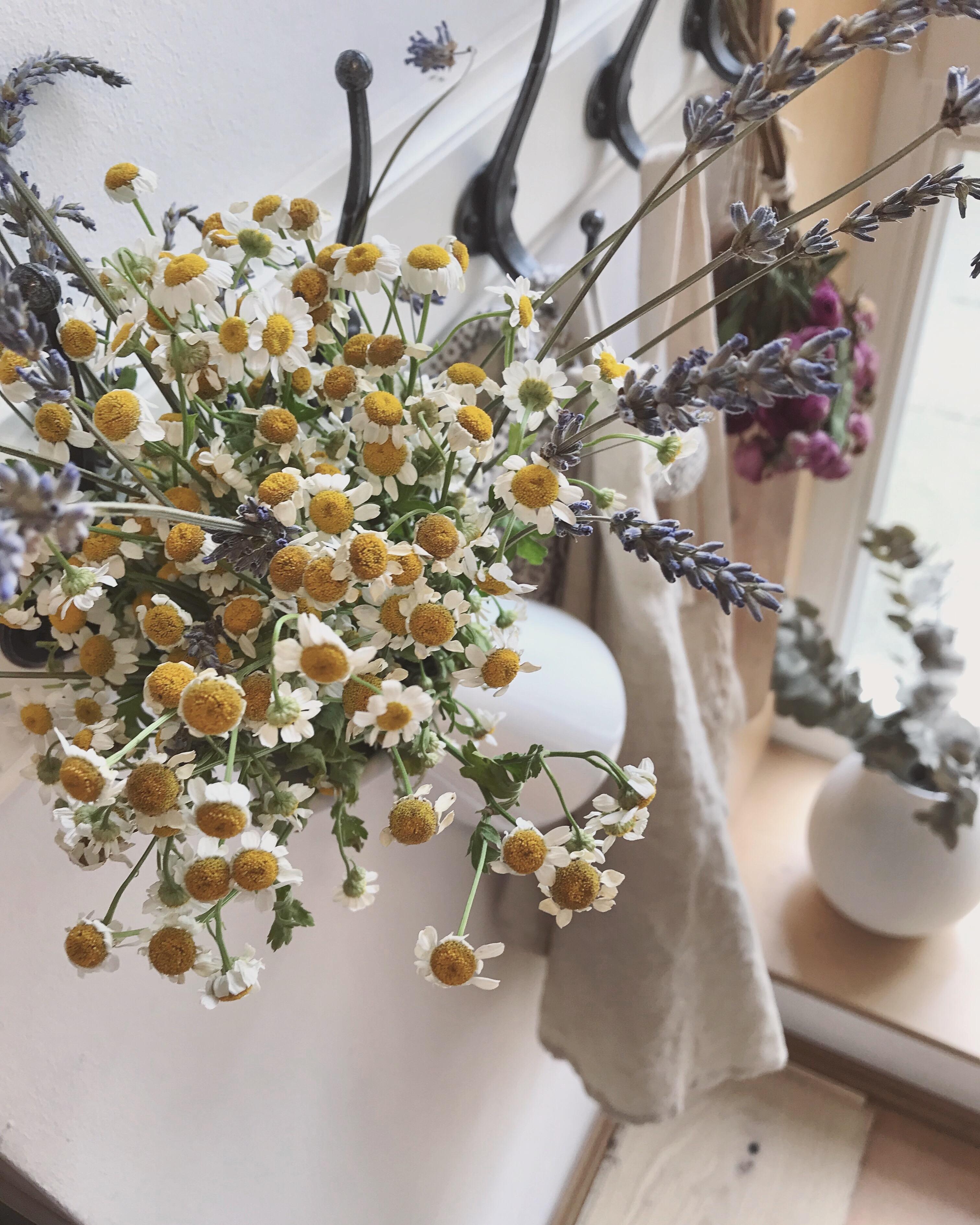 Heute gibt es Kamille und Lavendel zum #freshflowerfriday happy weekend 💛💜
#blumenliebe#flowers#couchstyle#küche