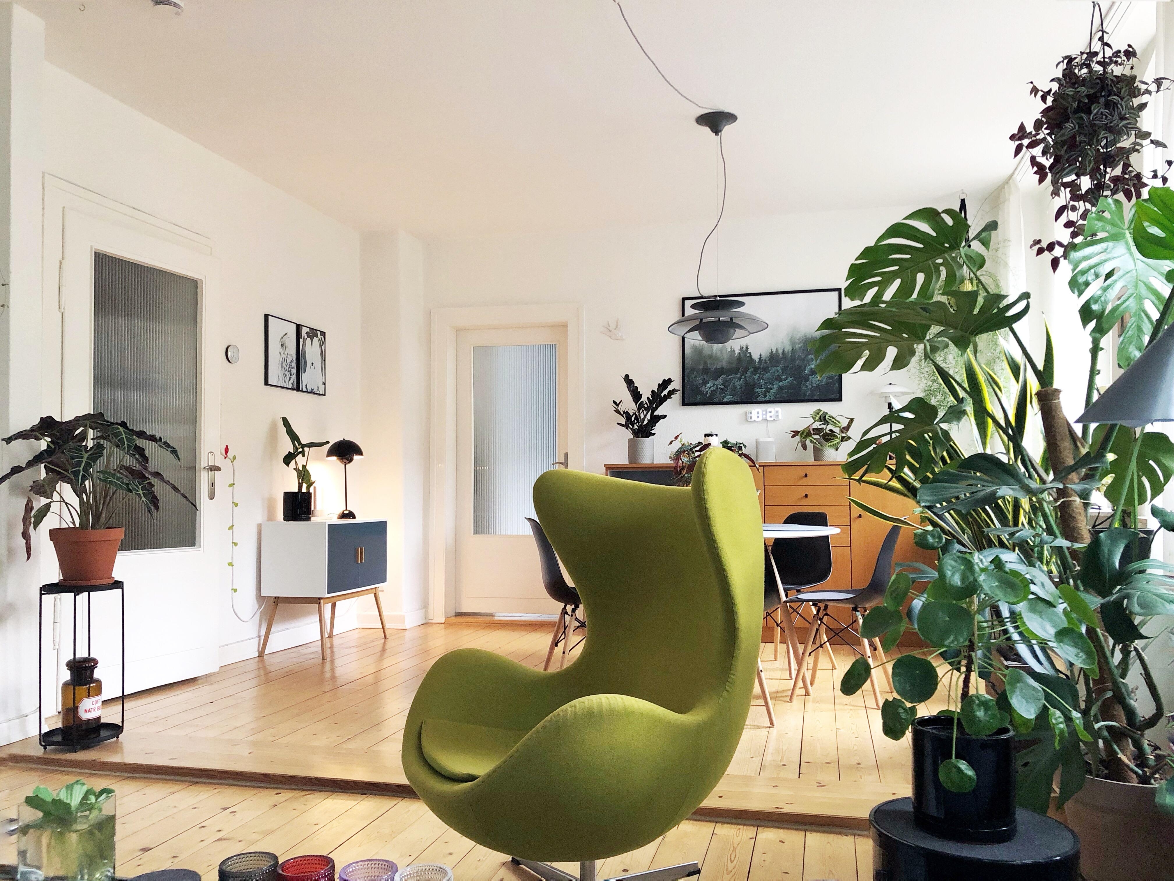 Heute ist es grau in grau, da hilft nur ein grünes Zuhause # couchstyle #homesweethome #grüngegengrau #plantlover