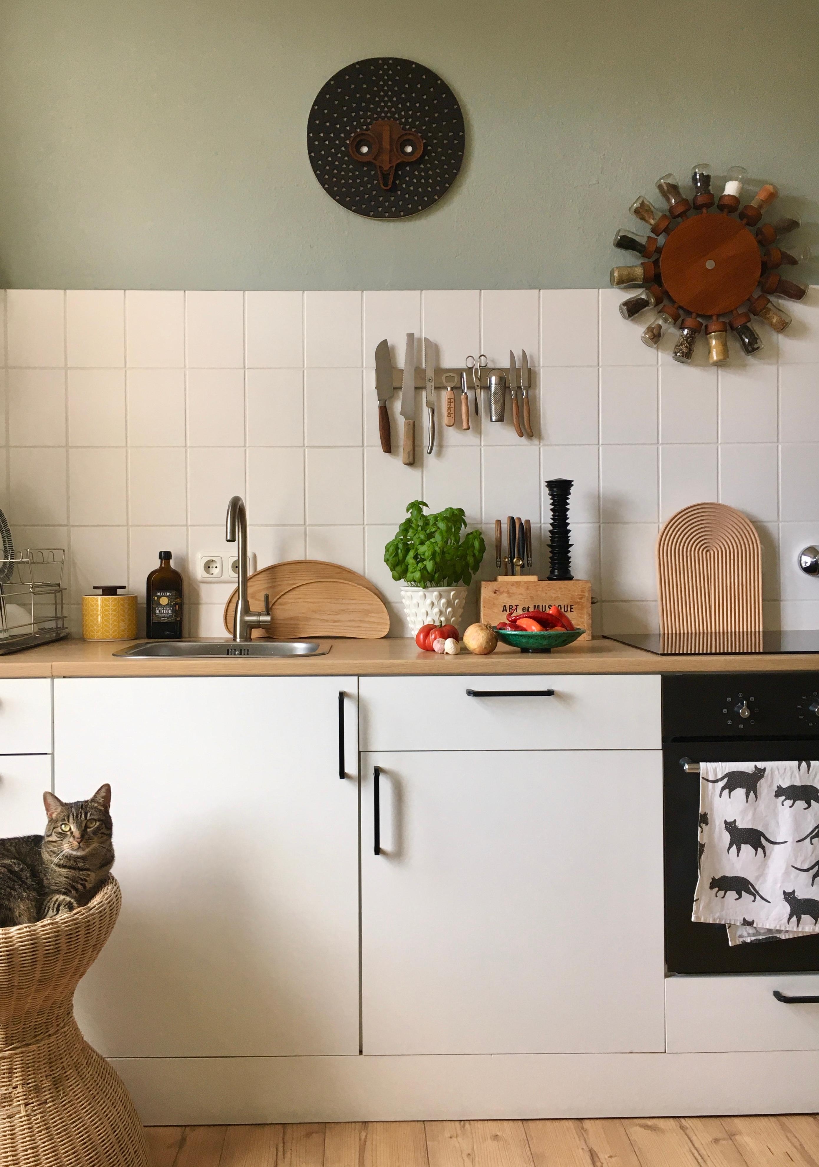 Heute ist Pasta Tag, mit frischer Tomaten- Chilli Soße 🍅🧄🌶🧅🌱🍝
Und Katze.
#küche #altbauwohnung #küchenliebe #katze