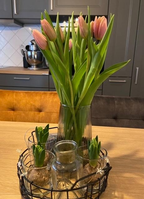 Heute sind bei mir die ersten Tulpen eingezogen 🥰 bei dem Wetter steigert das direkt die Laune. #tulpen 