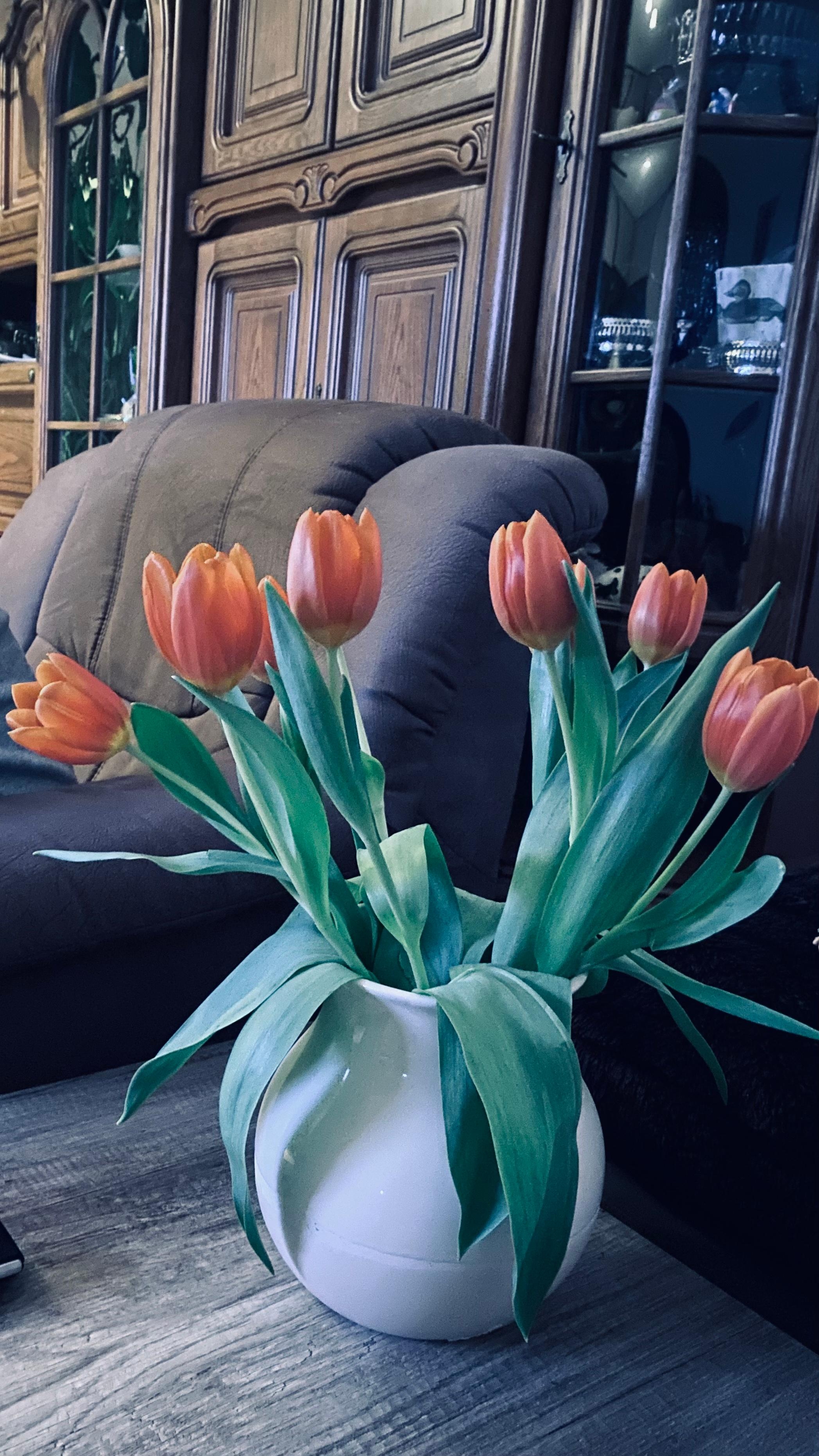 Heute vorab wieder den Frühling in die Wohnung geholt 😊 Tulpen 🌷 