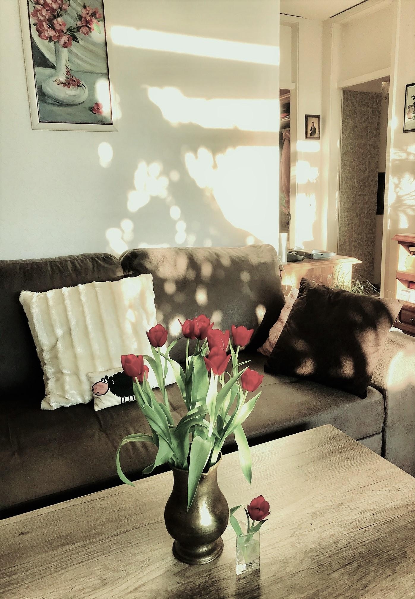 Heute war das #wohnzimmer sonnendurchflutet :)
 #couch #licht #home ##freshflowerfriday