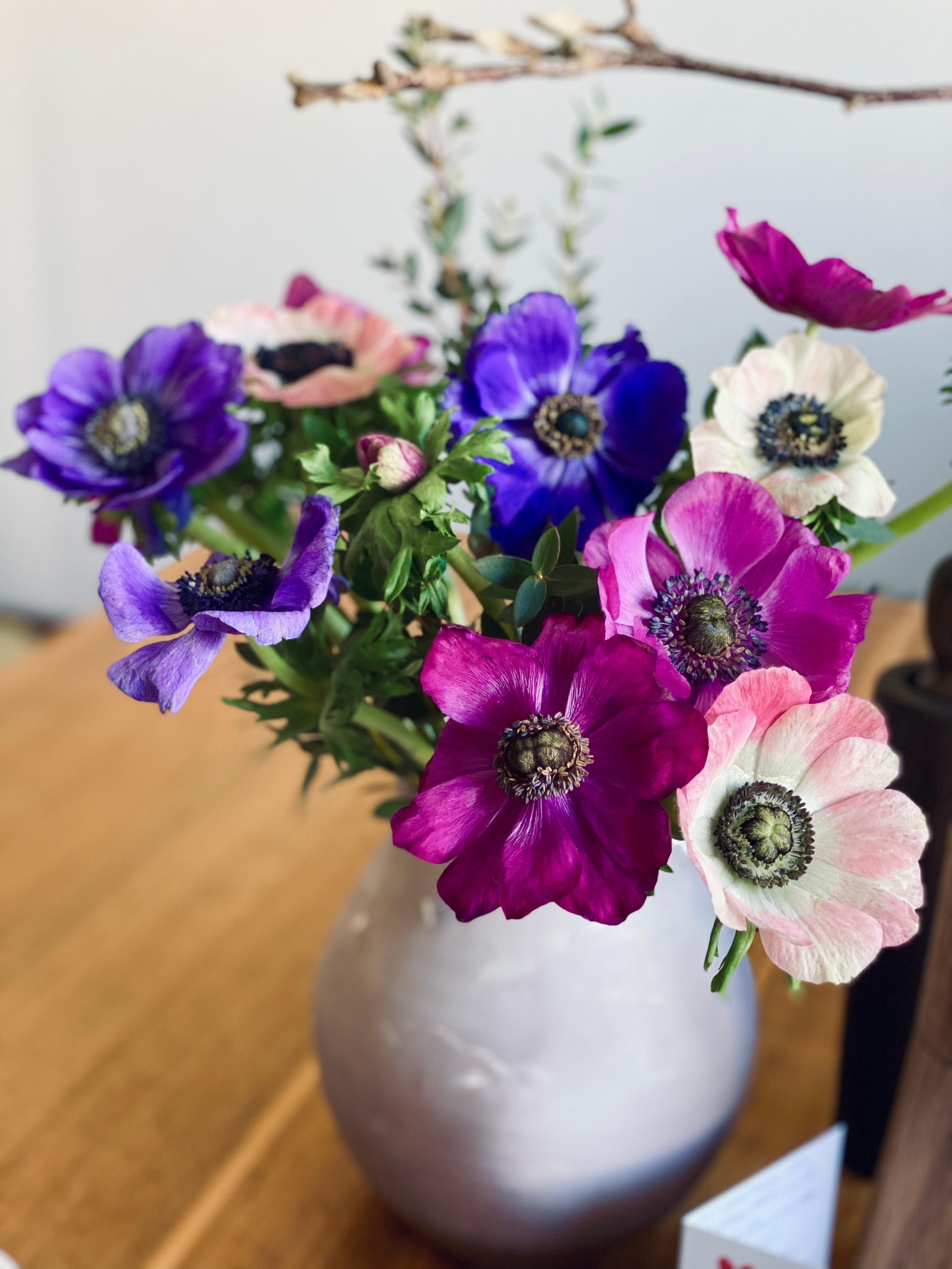 Hey, ihr Schönen 🌸 #anemonen #freshflowerwednesday #couchliebtblumen