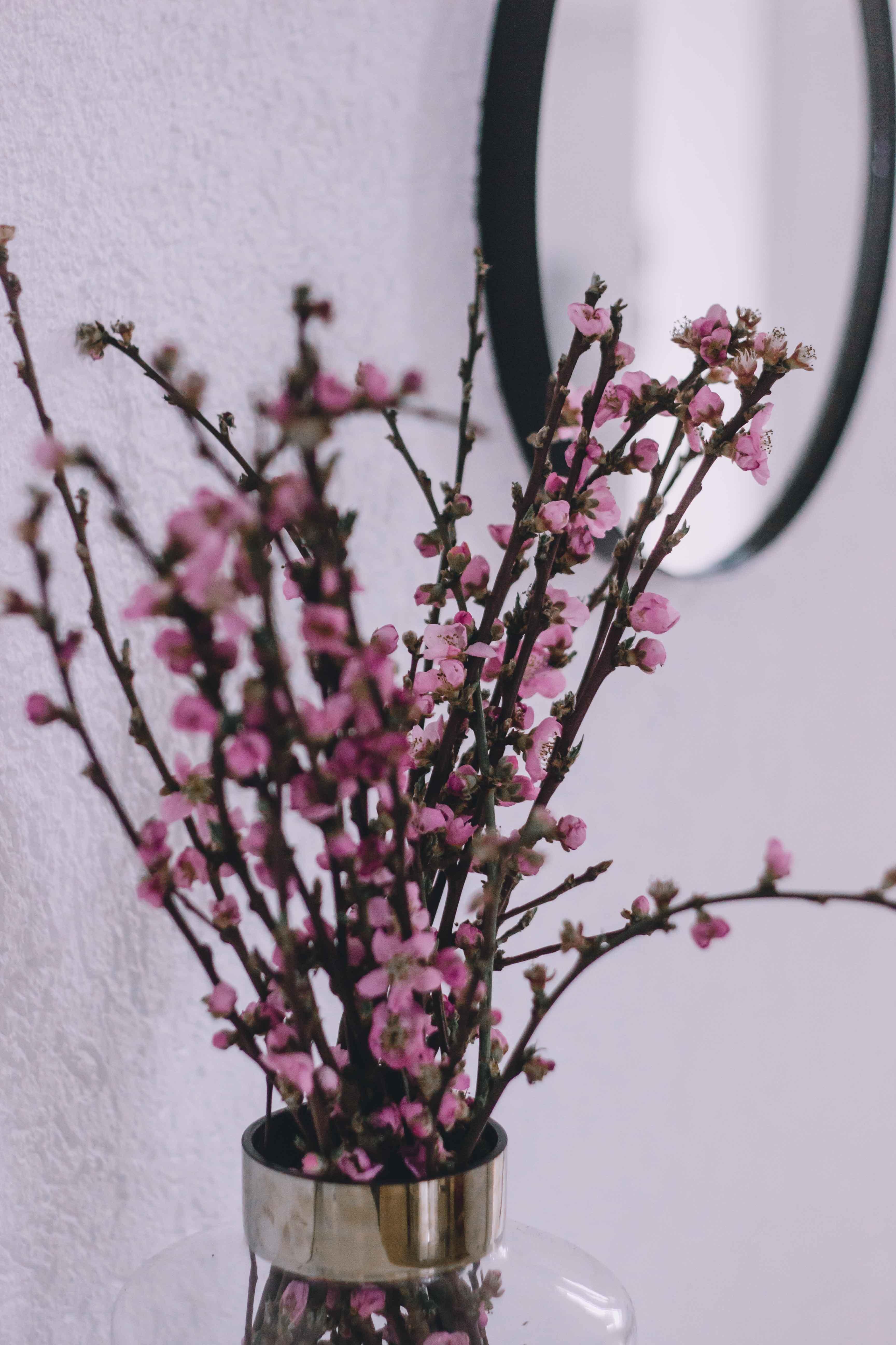 Hi Spring! #spring #home #kirschblüten 