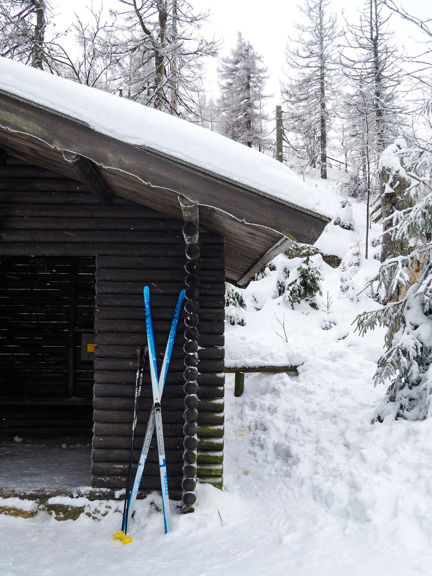 Hier bleib ich ⛷😍 #berghütte #schnee #winter #wintersport #skifahren #winterwonderland