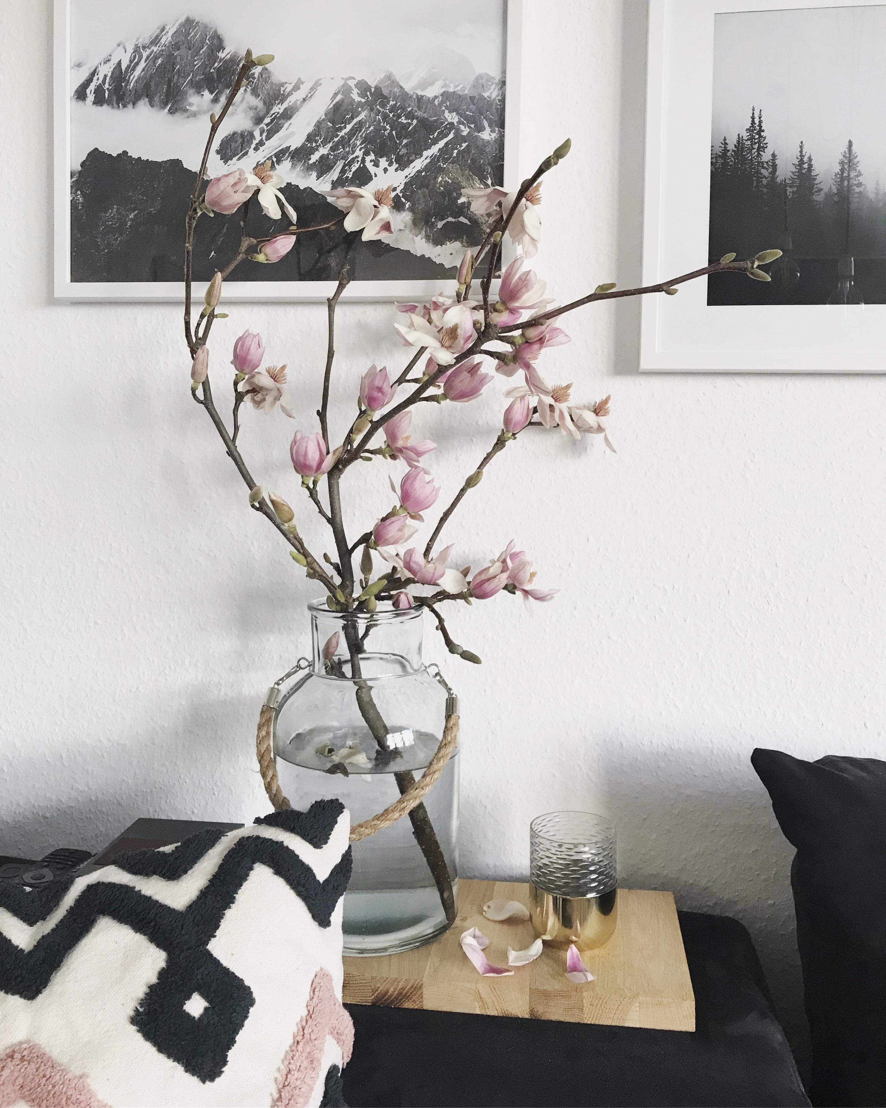 Hier herrscht große Magnolienliebe #flowers #skandistyle #blackandwhite