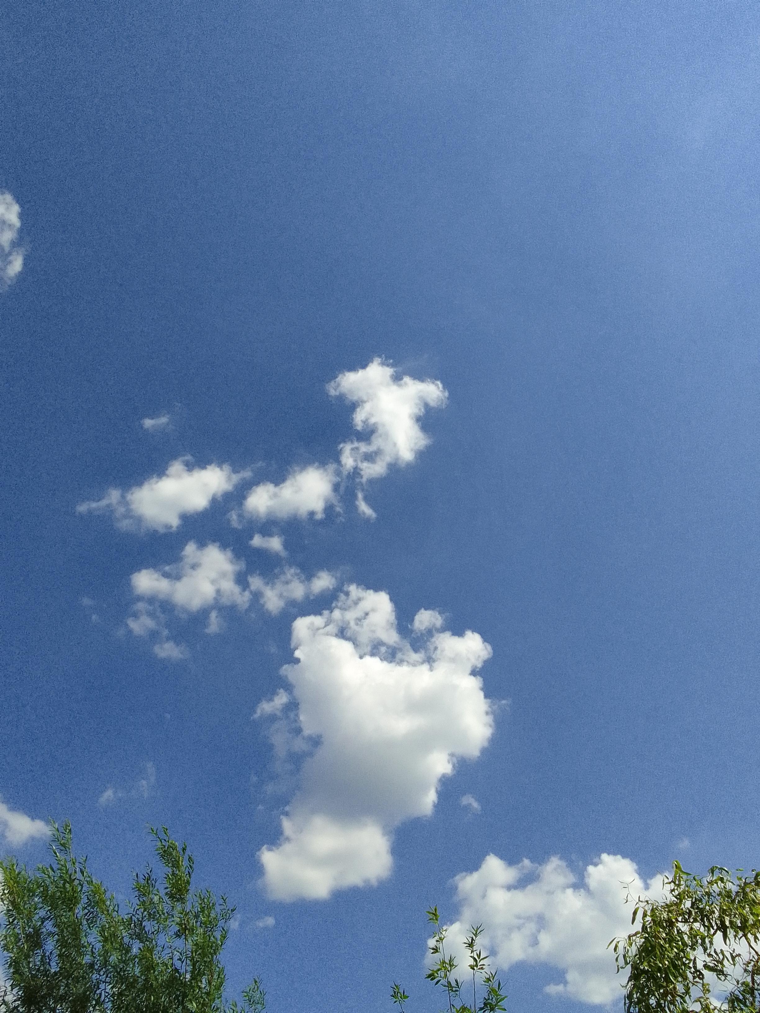 #himmelblau #naturdeko 
Gesichter in Wolken lesen