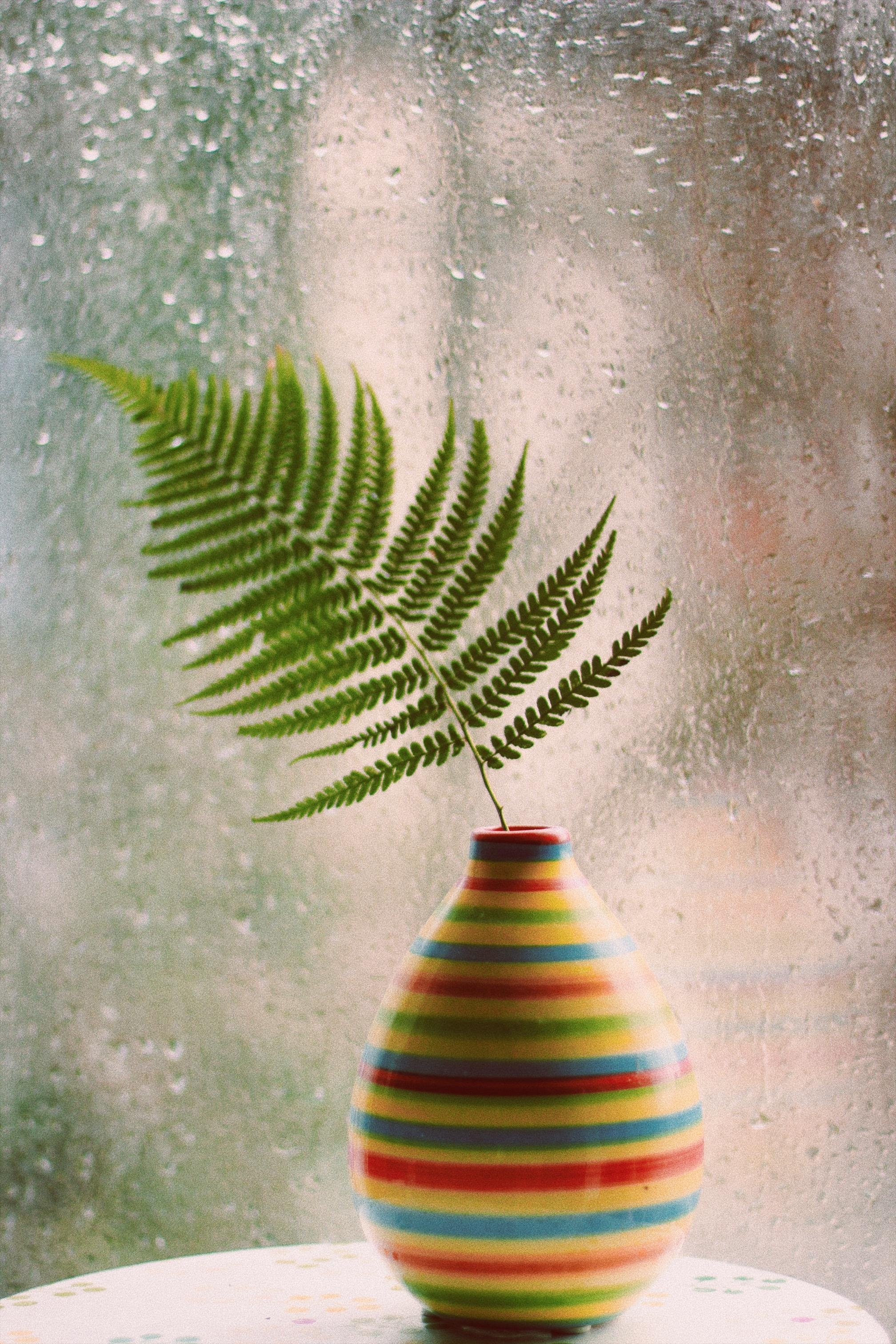 hmmm.. #regen#sommer#farbe#couchliebt#urbanjungle#love#pflanzen#vase#deko