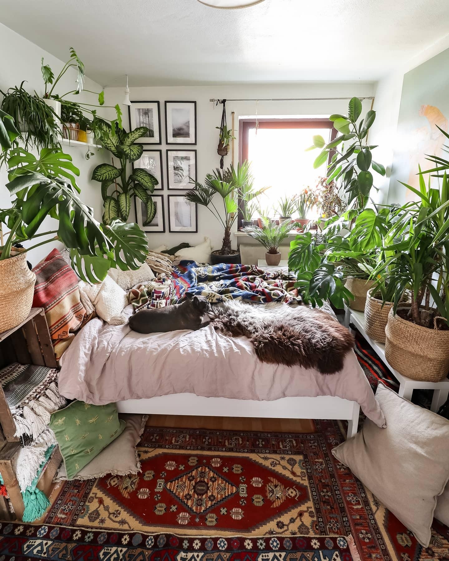 Hokuspokus #schlafzimmer #couchstyle #pflanzen #boho #hippie 