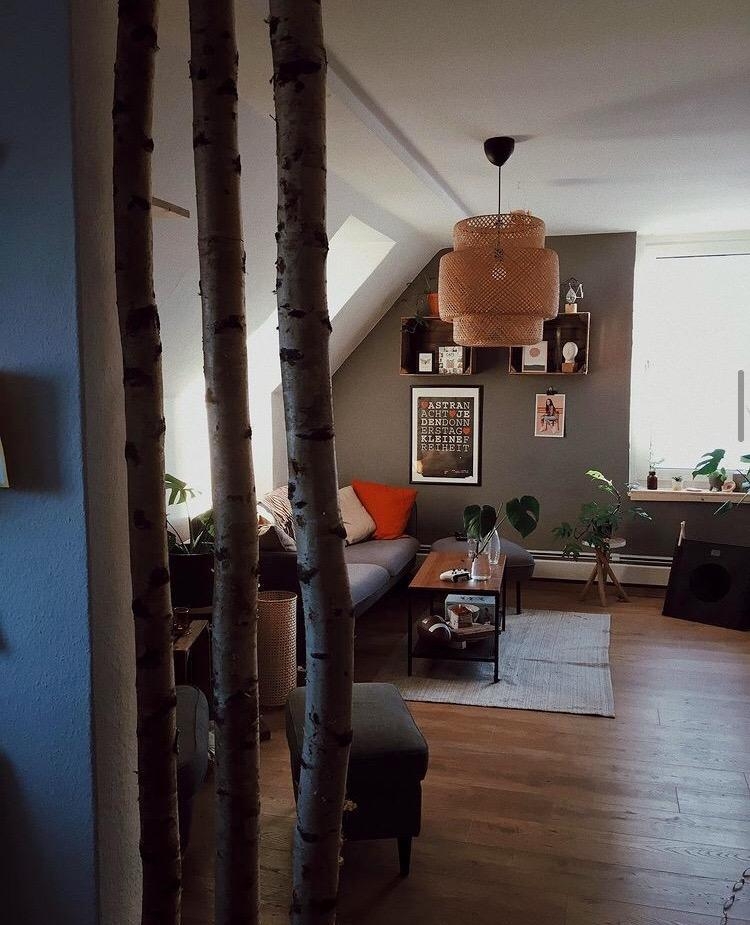 HOME 🧡 
#wohnzimmer #plants #cosy 