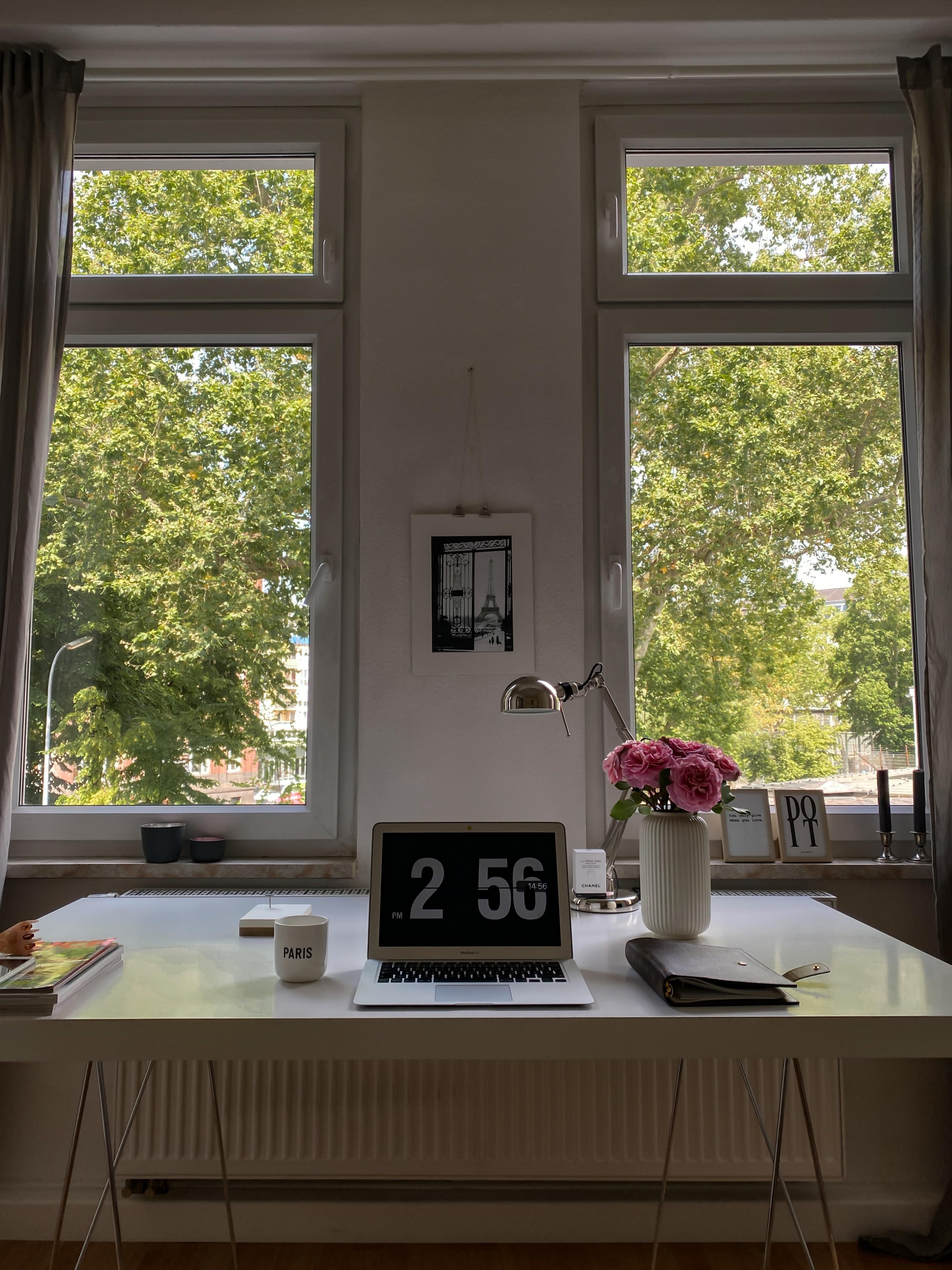 #homeoffice with a view:) 

#living #homestories #homestory #selbstständig #daydreaming #homeandliving