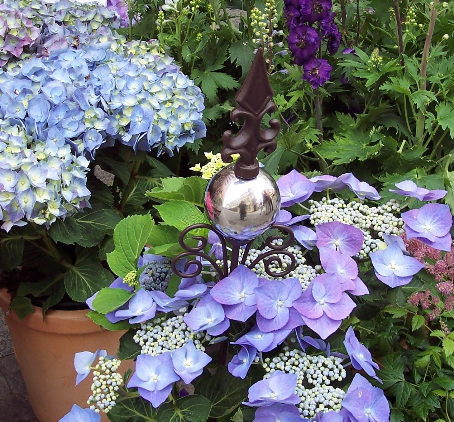 #hortensienwoche 
Leider blühen meine Hortensien noch nicht so schön, deshalb ein Foto aus dem Blumenladen.