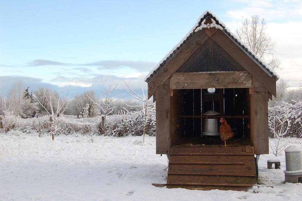 Hühnerstall im Winter #shabbychic ©Lincoln Barbour/Jessica Helgerson Interior Design