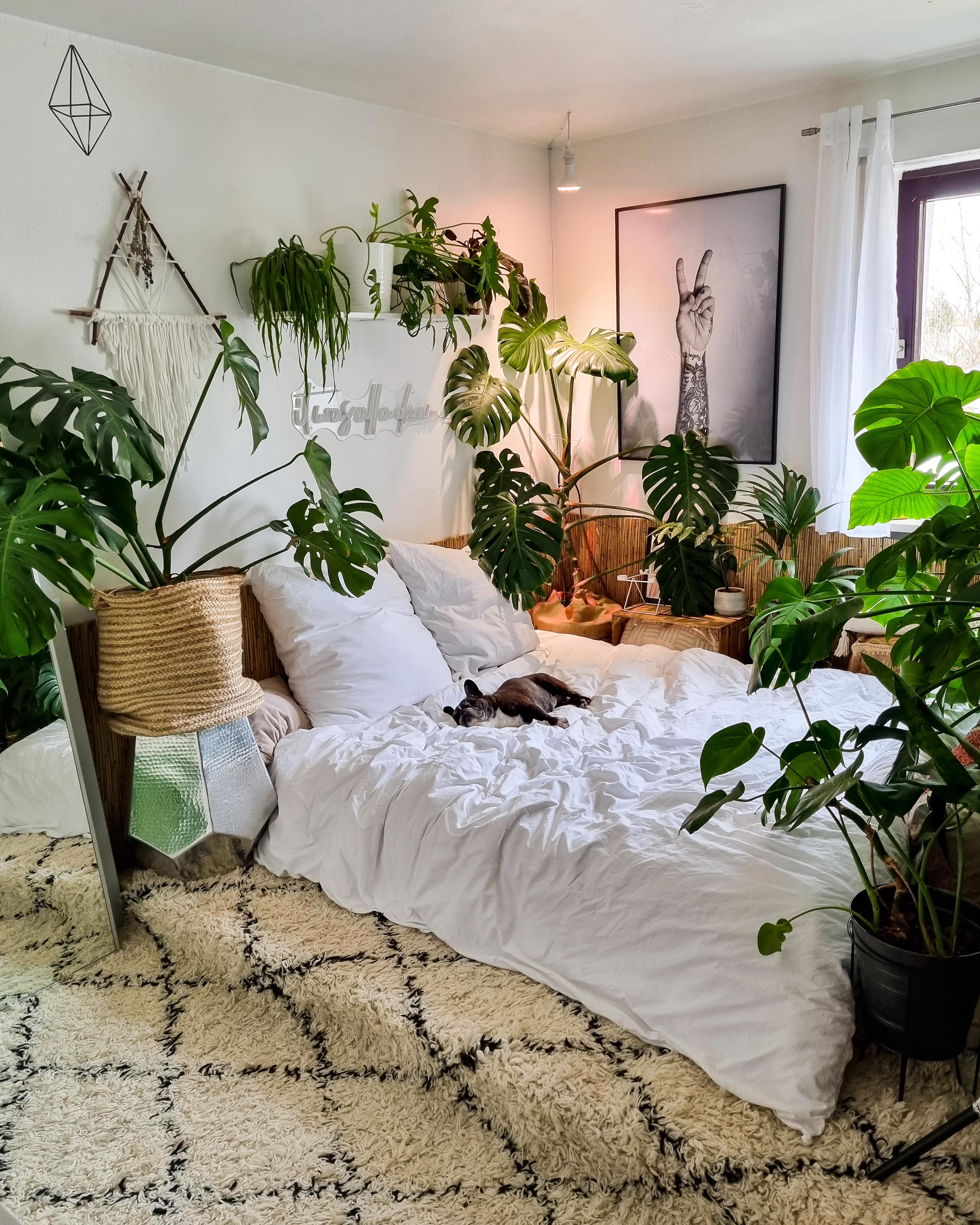 Hygge Montag 🪴 #Schlafzimmer #urbanjungle #Bett #Decke #paletten #Poster #Pflanzen #monstera