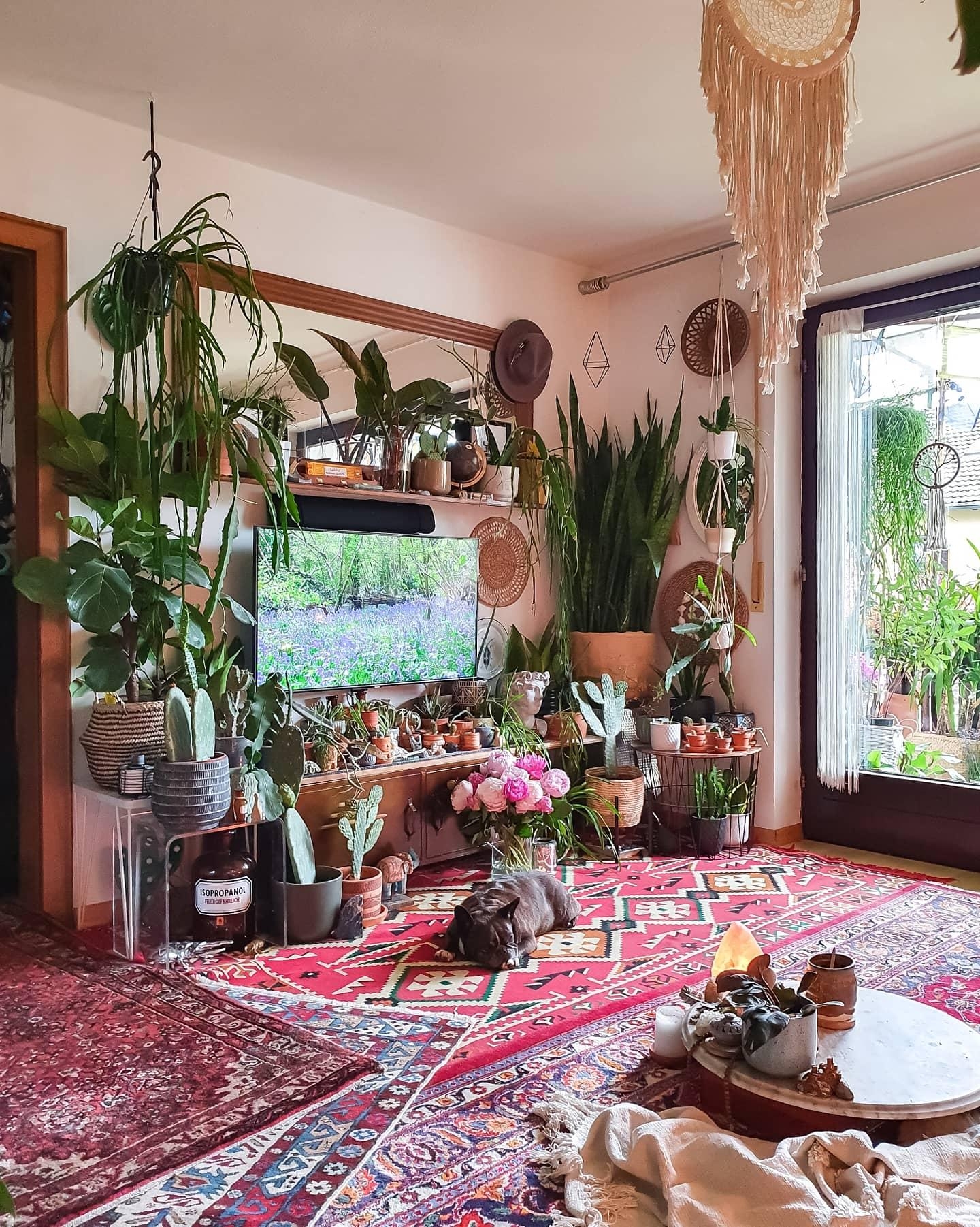 Hygge Mood ON #wohnzimmer #Pflanzen #hygge #cozy #gemütlich