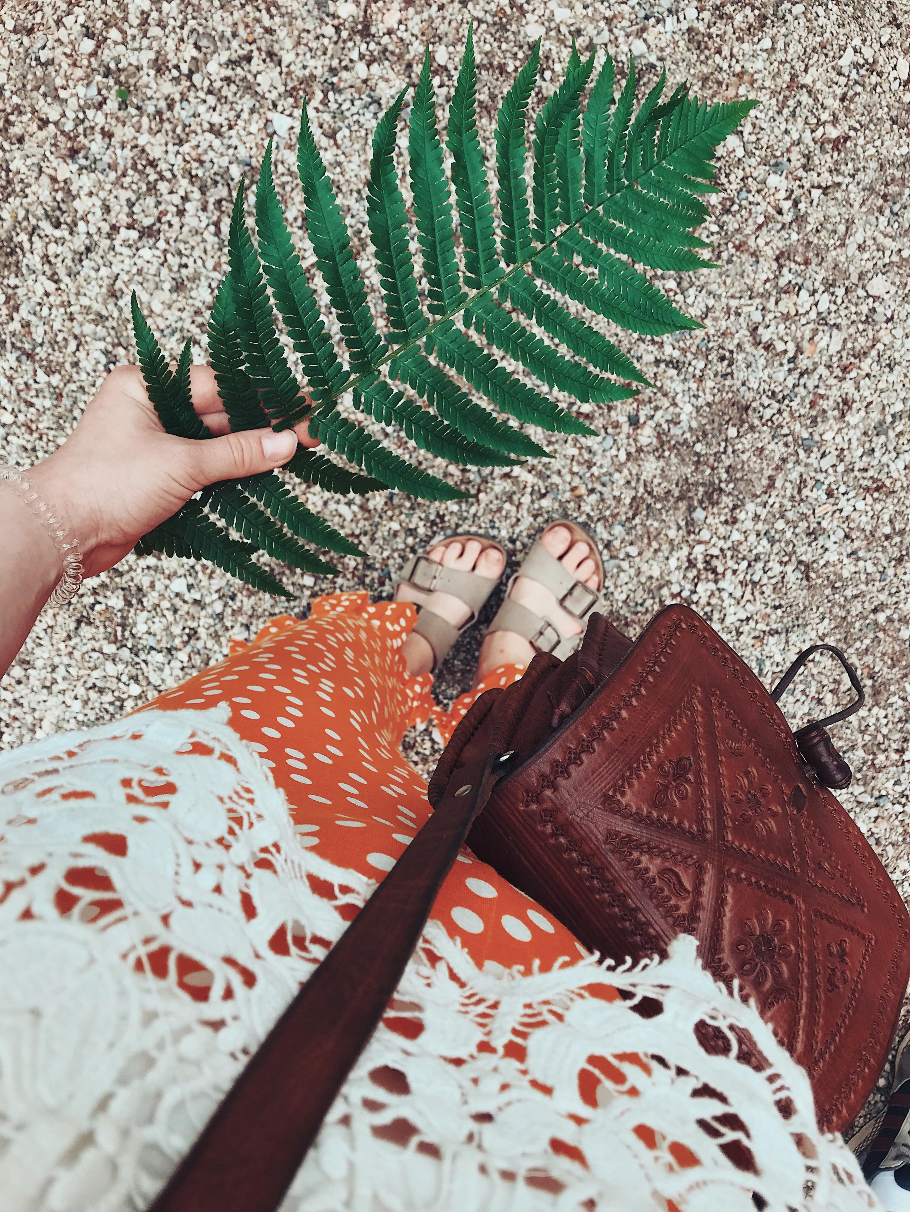 I have this thing with plants #fashionlieblinge 
#sandalen #fromwhereistand #ootd #outfit #farn #urbanjungle