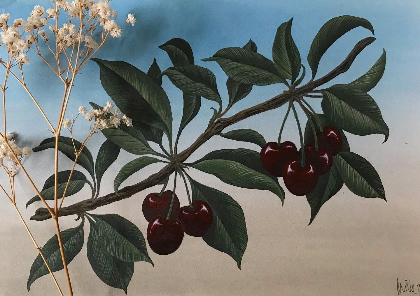 I love botanical art and miss the #summer. So i painted some #cherries 
#artwork #botanicalpainting #kirschen 
