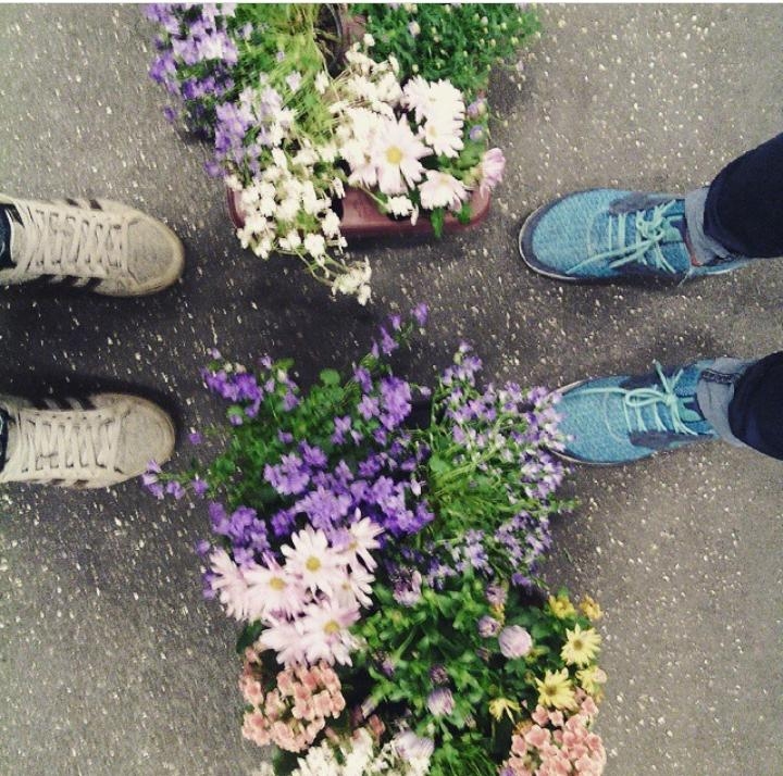 I Love flowers <3 
#flowers #wildflowers #pflanzen