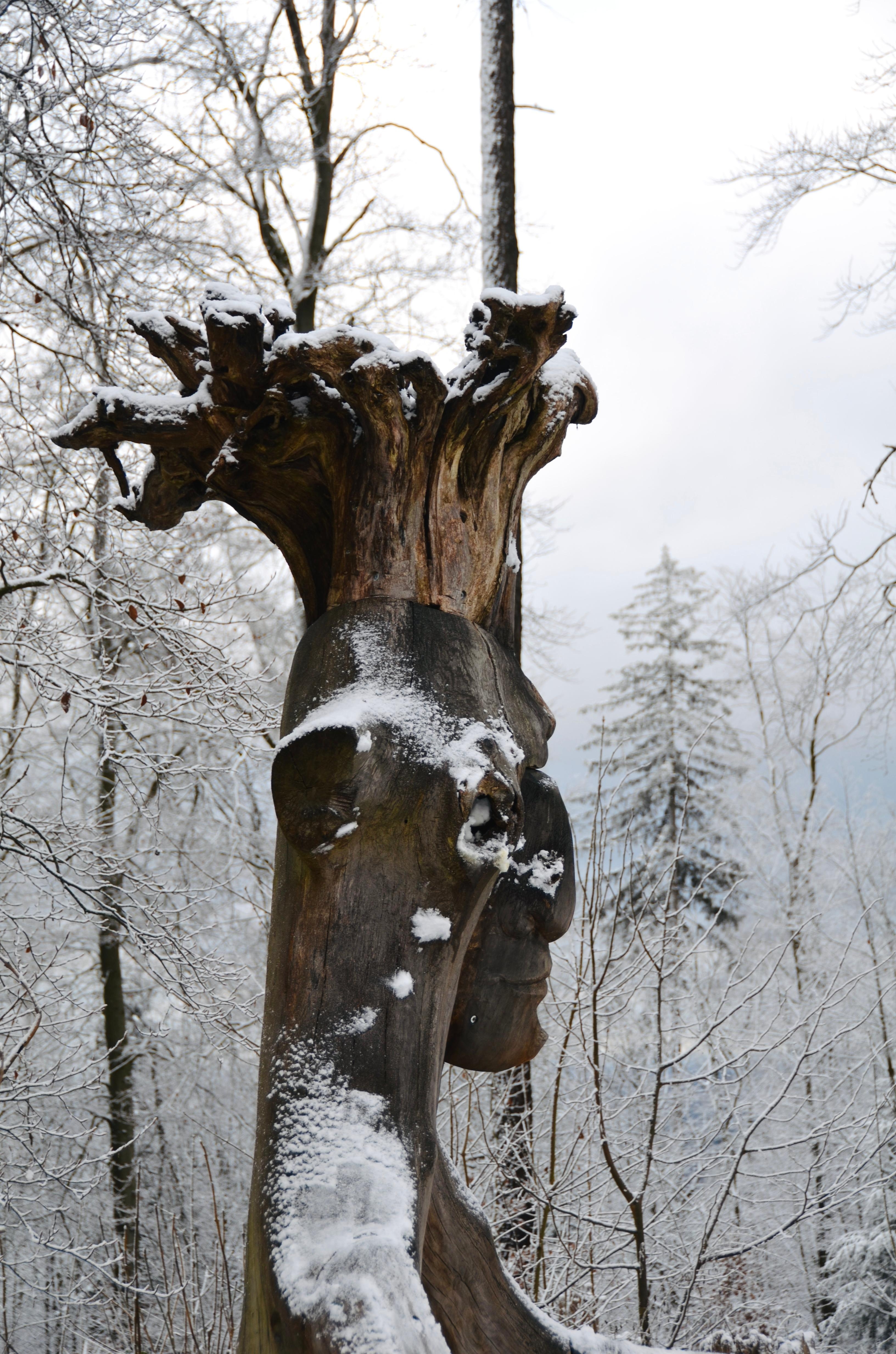 „I smell snow...“ ❄️ #schnee #wintertage #winter #winterwunderland #januar #januartage