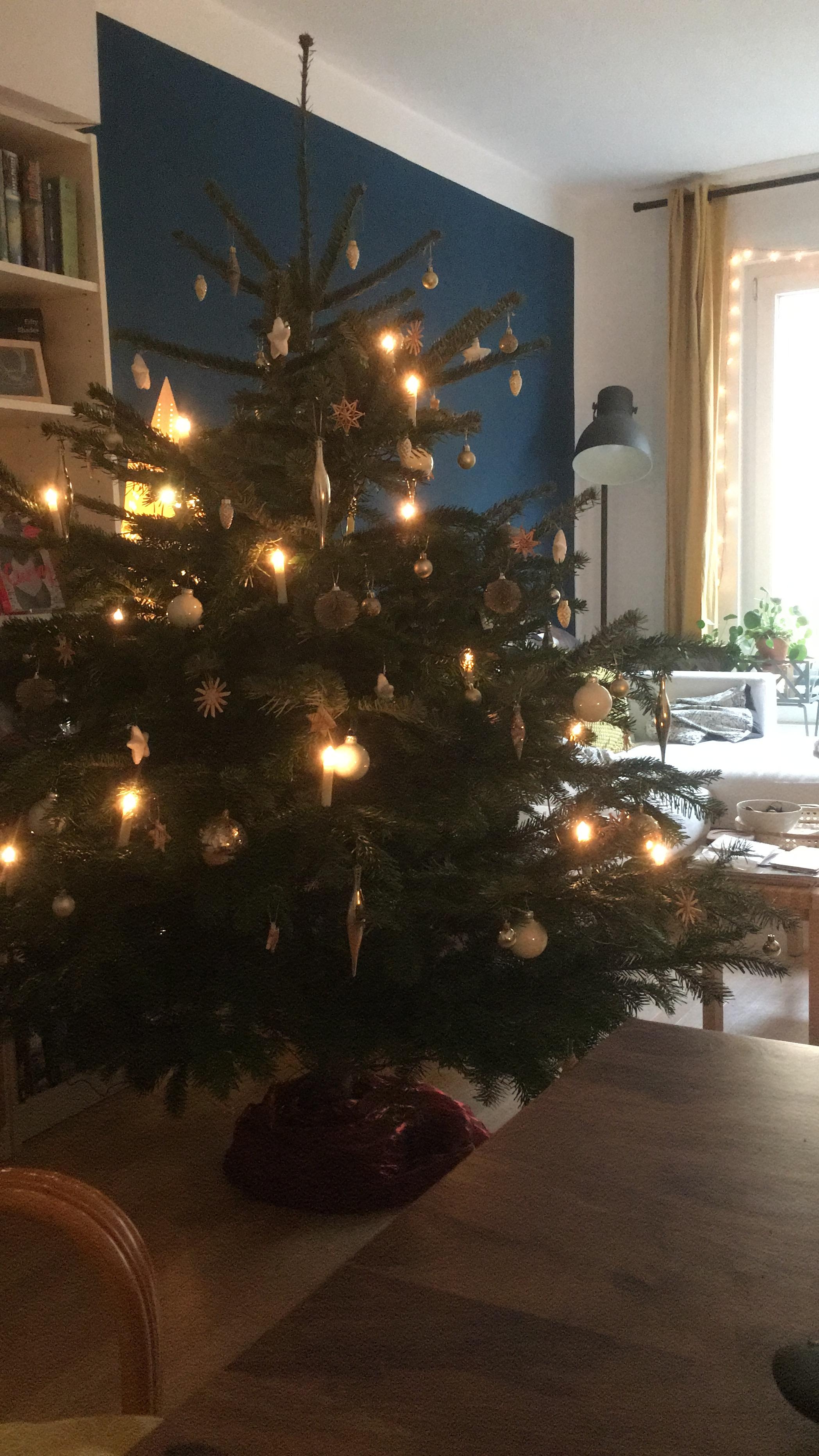 Ich bin echt bereit für den Frühling, aber der Weihnachtsbaum war auch schön.
#christmas #christmastree #bluewall