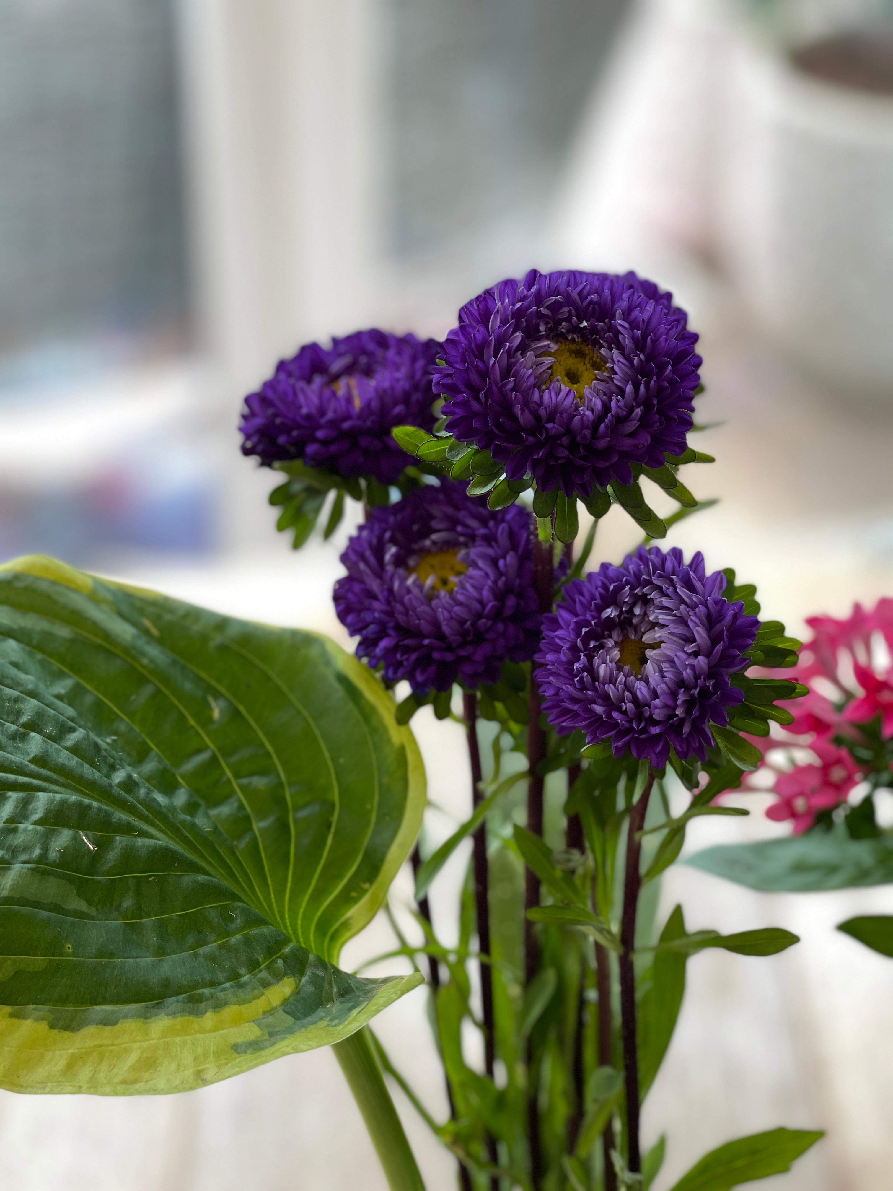 Ich liebe Blumen auf dem Esstisch. #iloveflowers