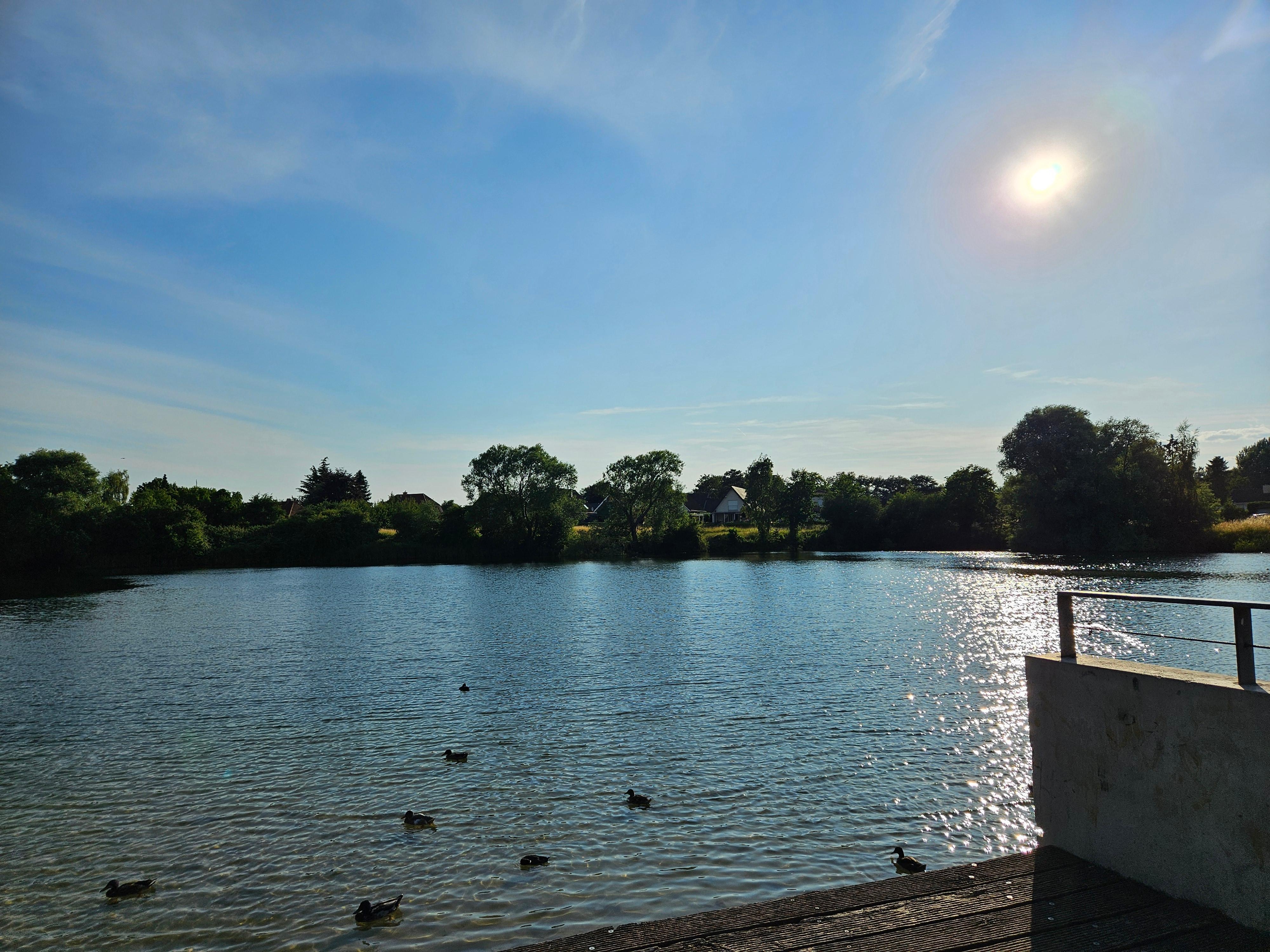 Ich liebe das Wasser.