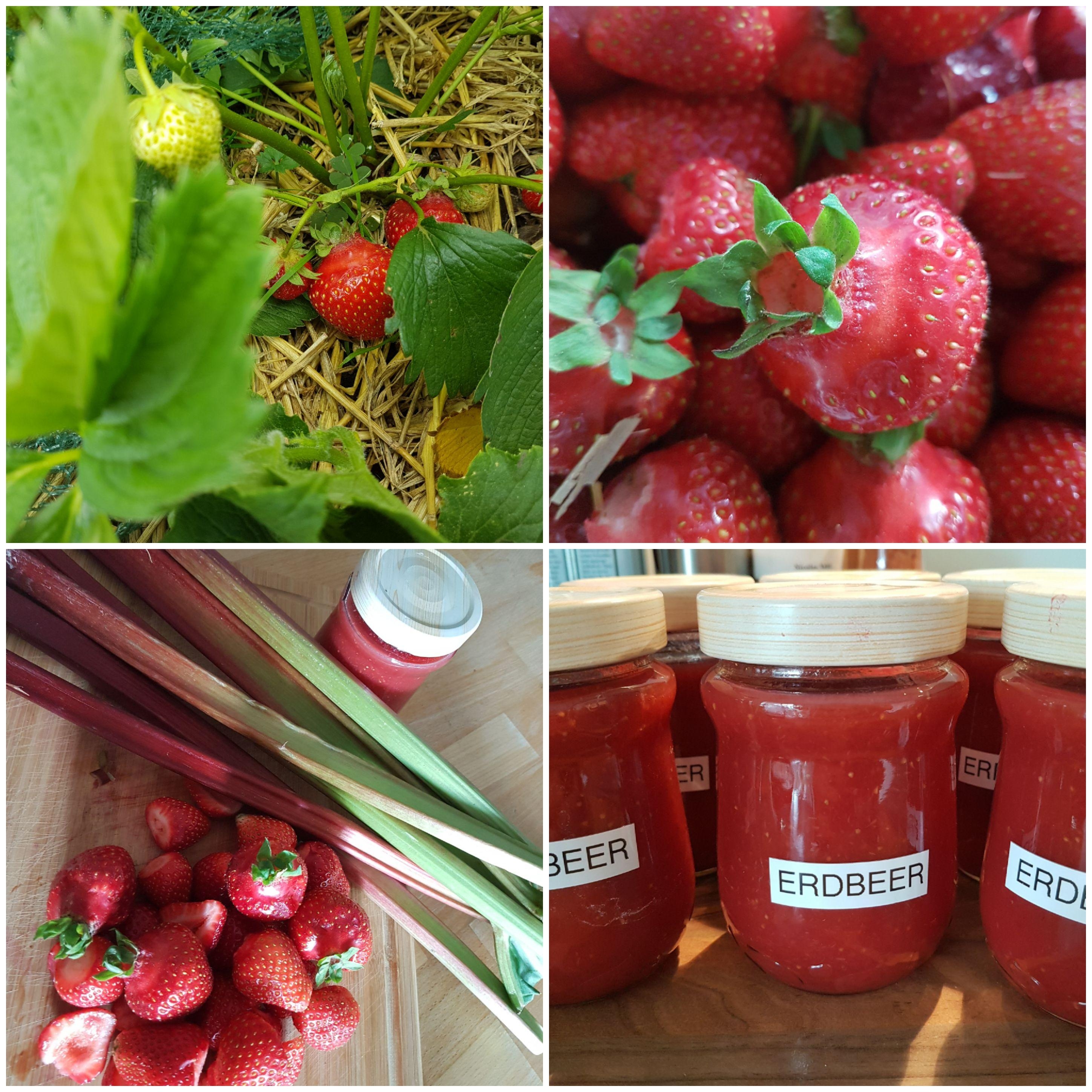 Ich liebe die Erdbeerzeit und vor allem frische Erdbeermarmelade #Sommer #Rezept #Erdbeeren #Ernte