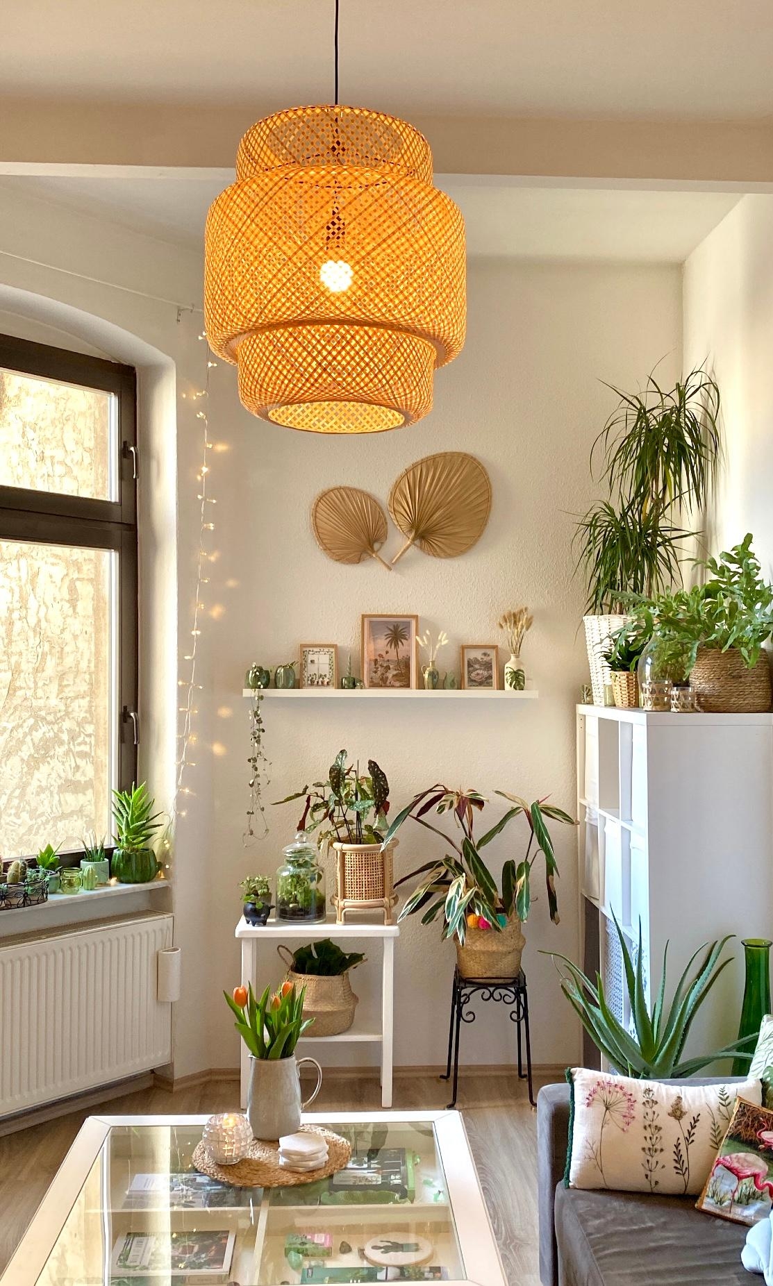 Ich liebe diese Lampe! 
#einrichtung #rattan #lampe #deko #pflanzenliebe #urbanjungle #plants #home #wohnzimmer 