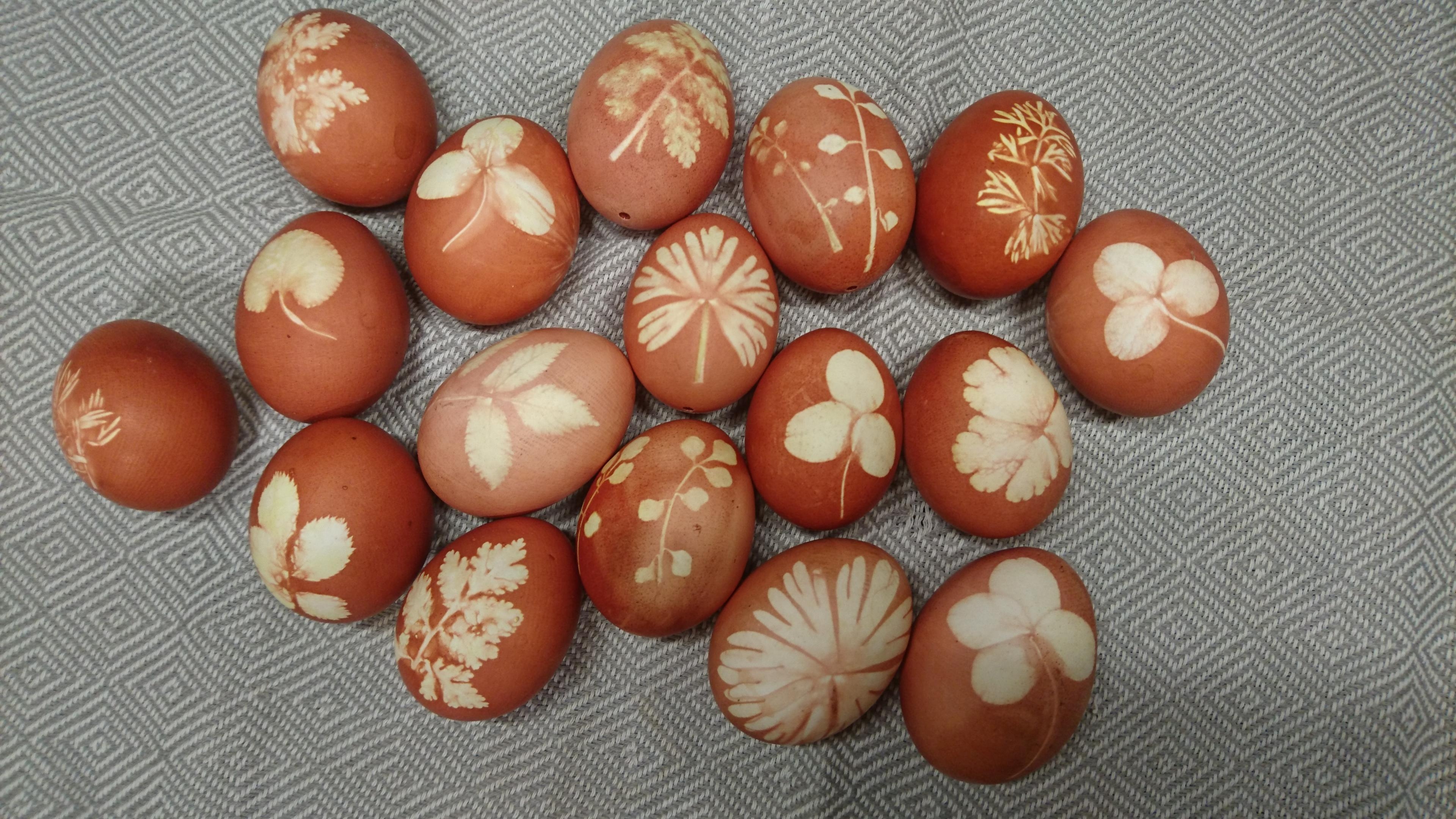 Ich liebe es Ostereier natürlich zu färben. Hier beispielsweise mit Zwiebelschalen.
#Ostern #diy #Ostern #Natur 