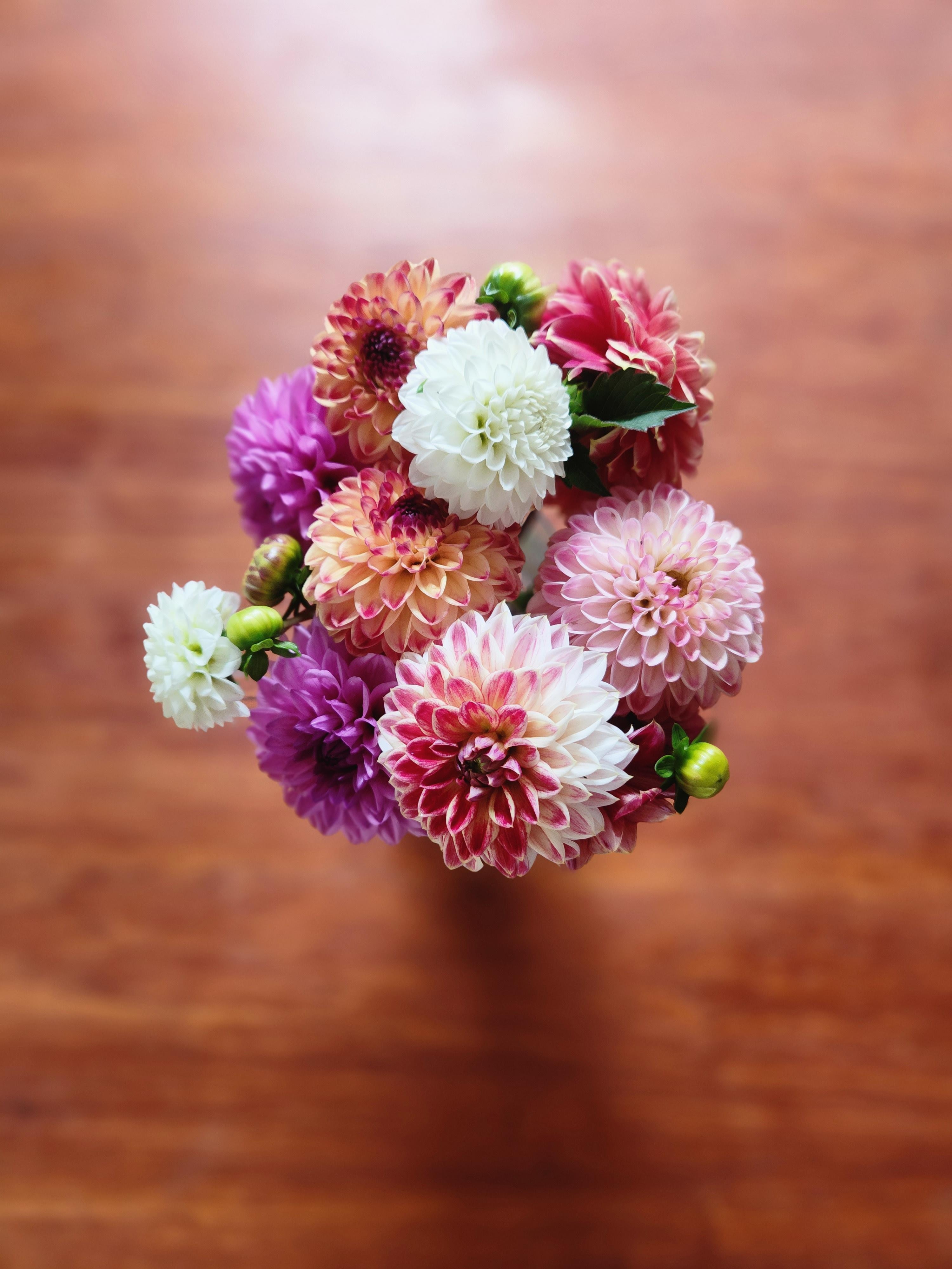 Ich liebe frische Blumen auf dem Tisch ♡

#dahlien #dahlias #blumen #flowers #herbstdeko #blumendeko #aufmeinemtisch 