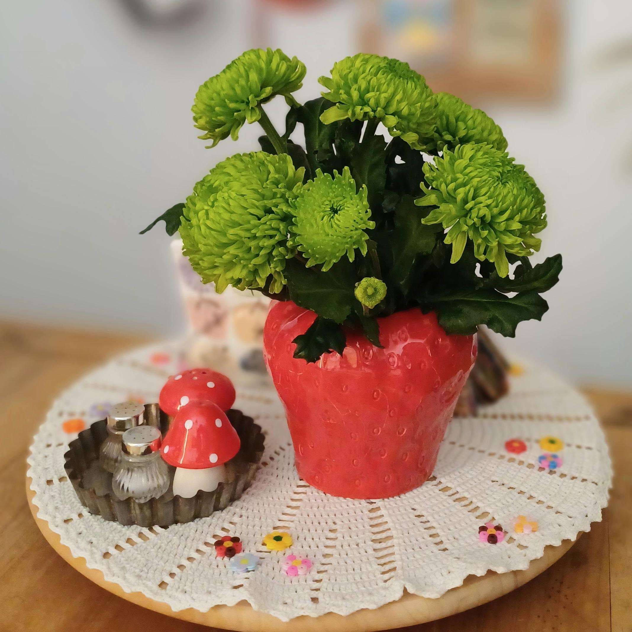 ich liebe #grüne #Blüten #Blumen wie diese #Chrysanthemen in der #Erdbeervase #Vase #Blumenvase auf dem #Küchentisch # Küche 