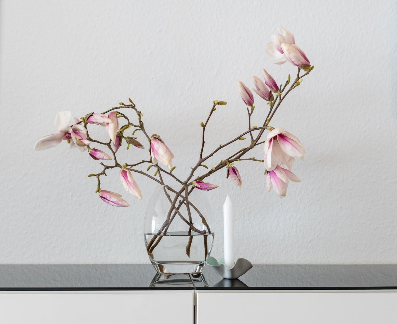 Ich liebe #magnolien.

#frühlingsgefühle #minimalismus #frühlingsdeko 