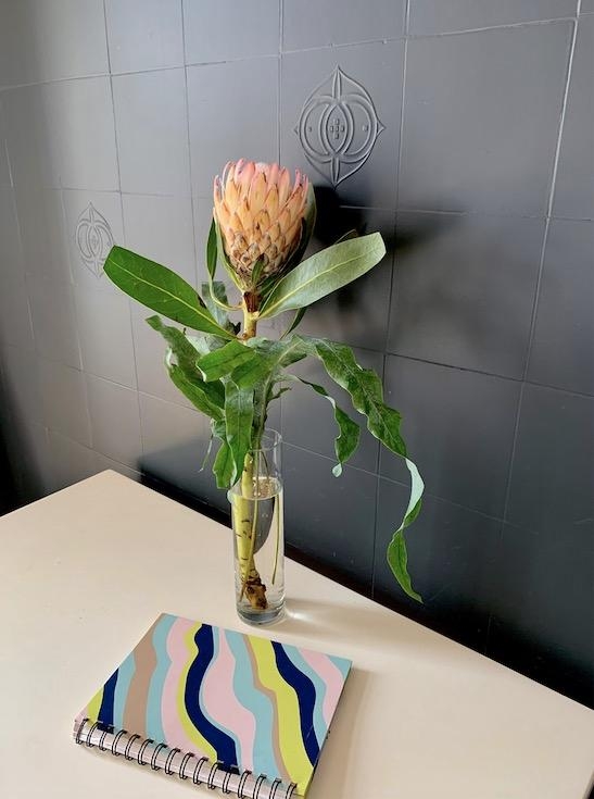 Ich liebe meine überstrichenen #Altbau #Fliesen 💙 ##fresflowerfriday #COUCHpaperlove #blumen #küche #notizheft #protea