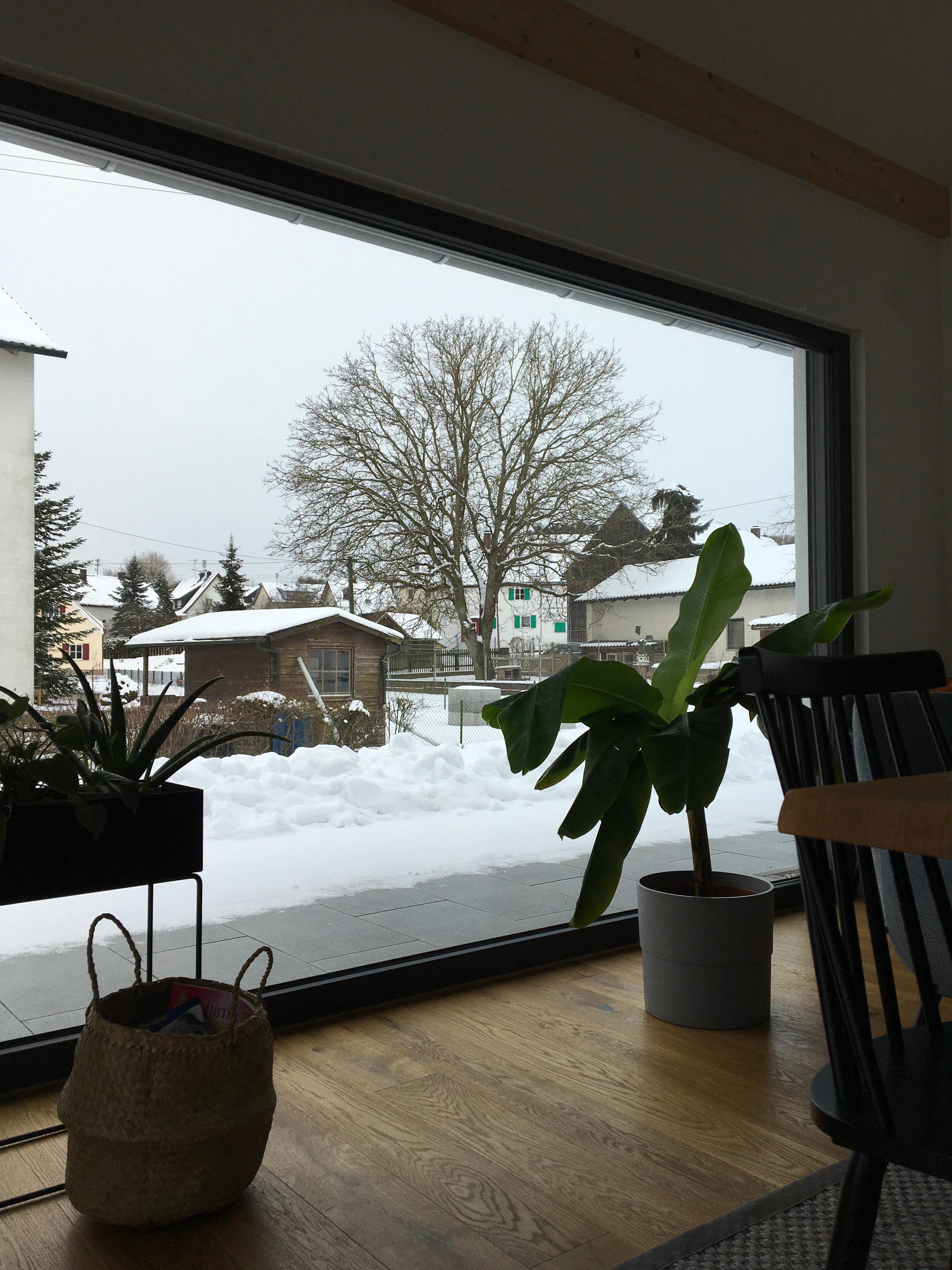 Ich liebe unser Panoramafenster, gerade jetzt #winterwonderland ❄️ #Glasliebe #parkett