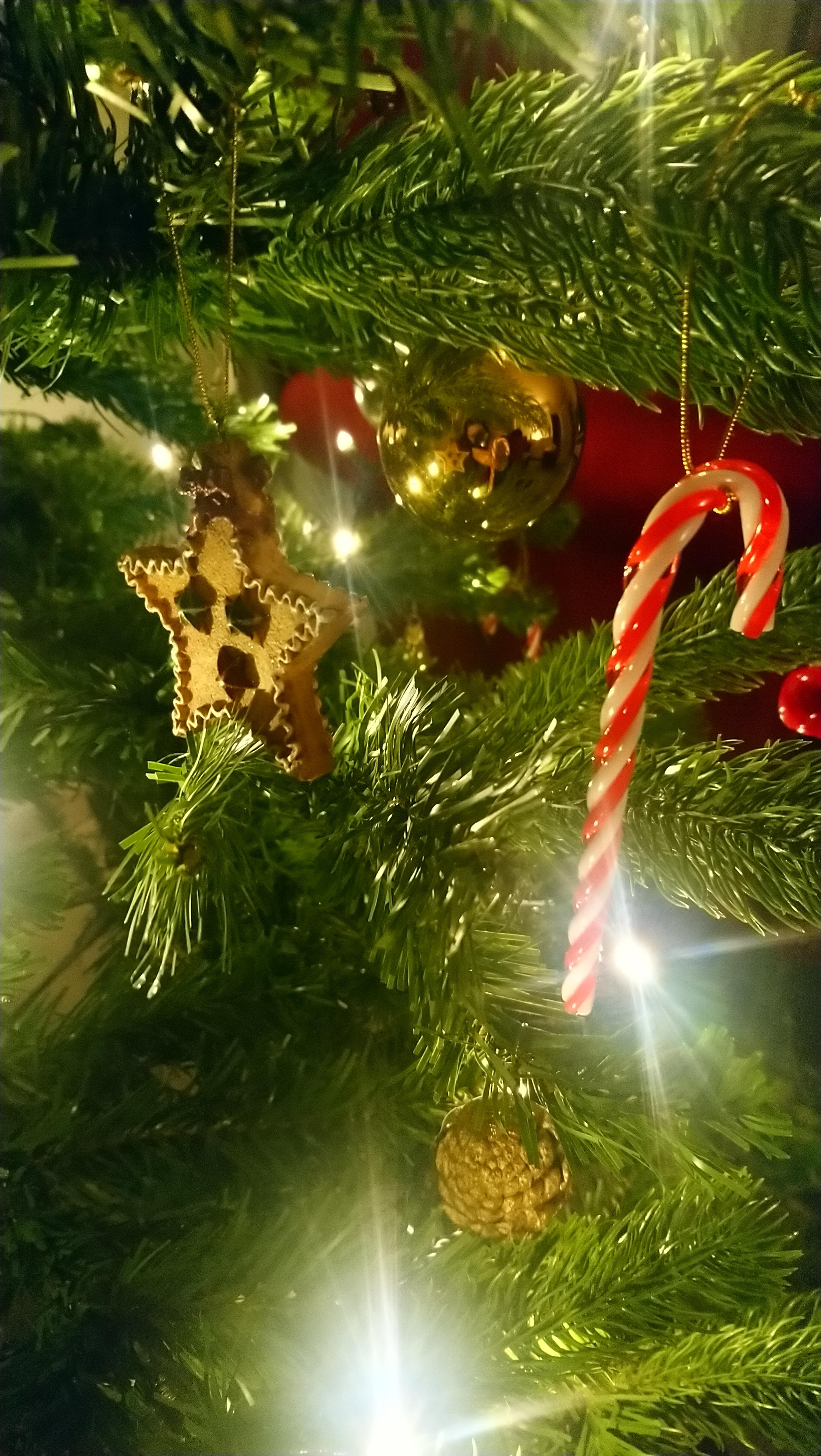 Ich liebe Weihnachten. Dieses Jahr eben noch besinnlicher ☺️ ♥ #weihnachtsbaum #weihnachten #weihnachtsdeko #winter 