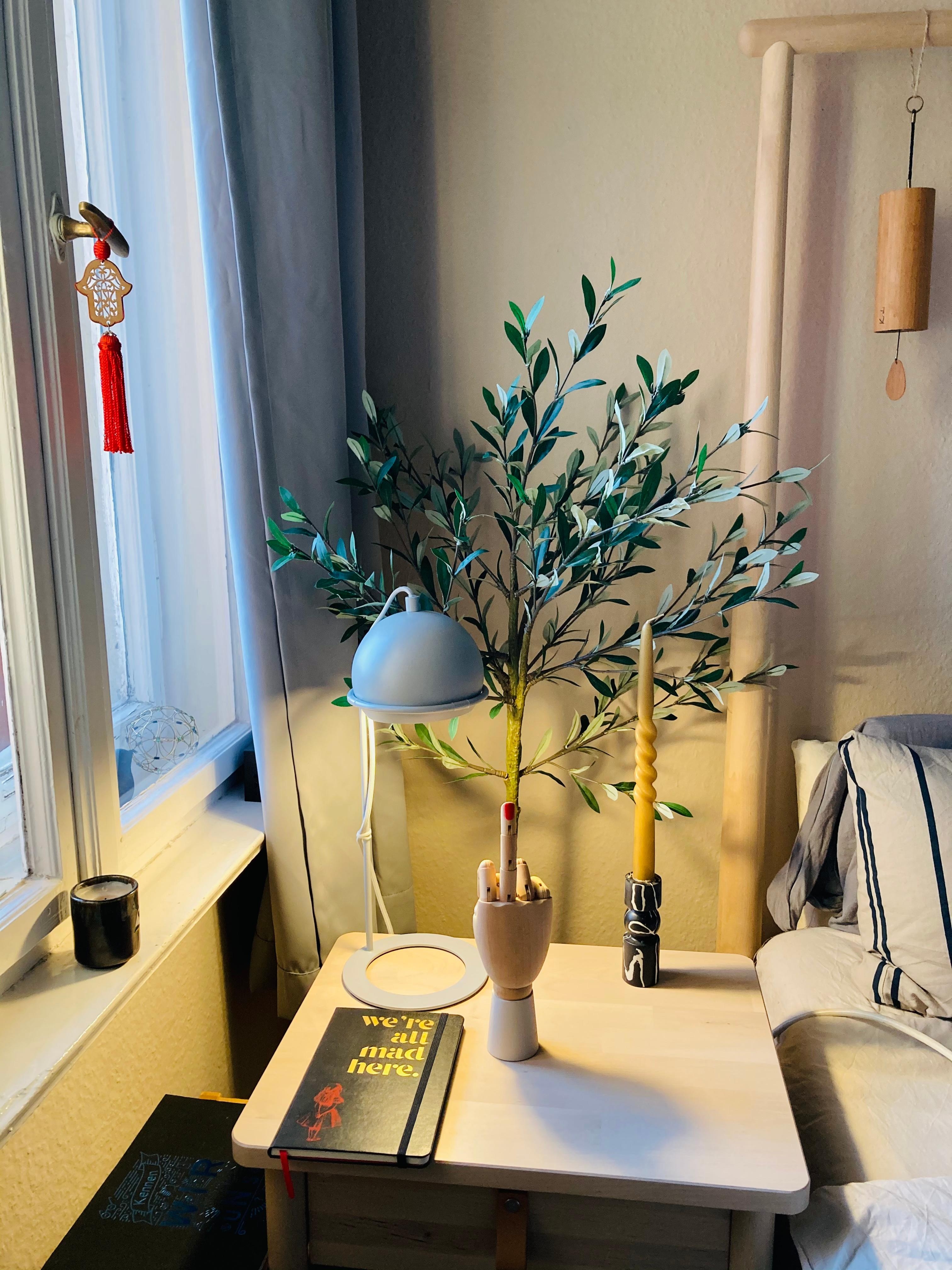 Ich mag den Olivenbaum neben meinem Bett, da fühle ich Griechenland 