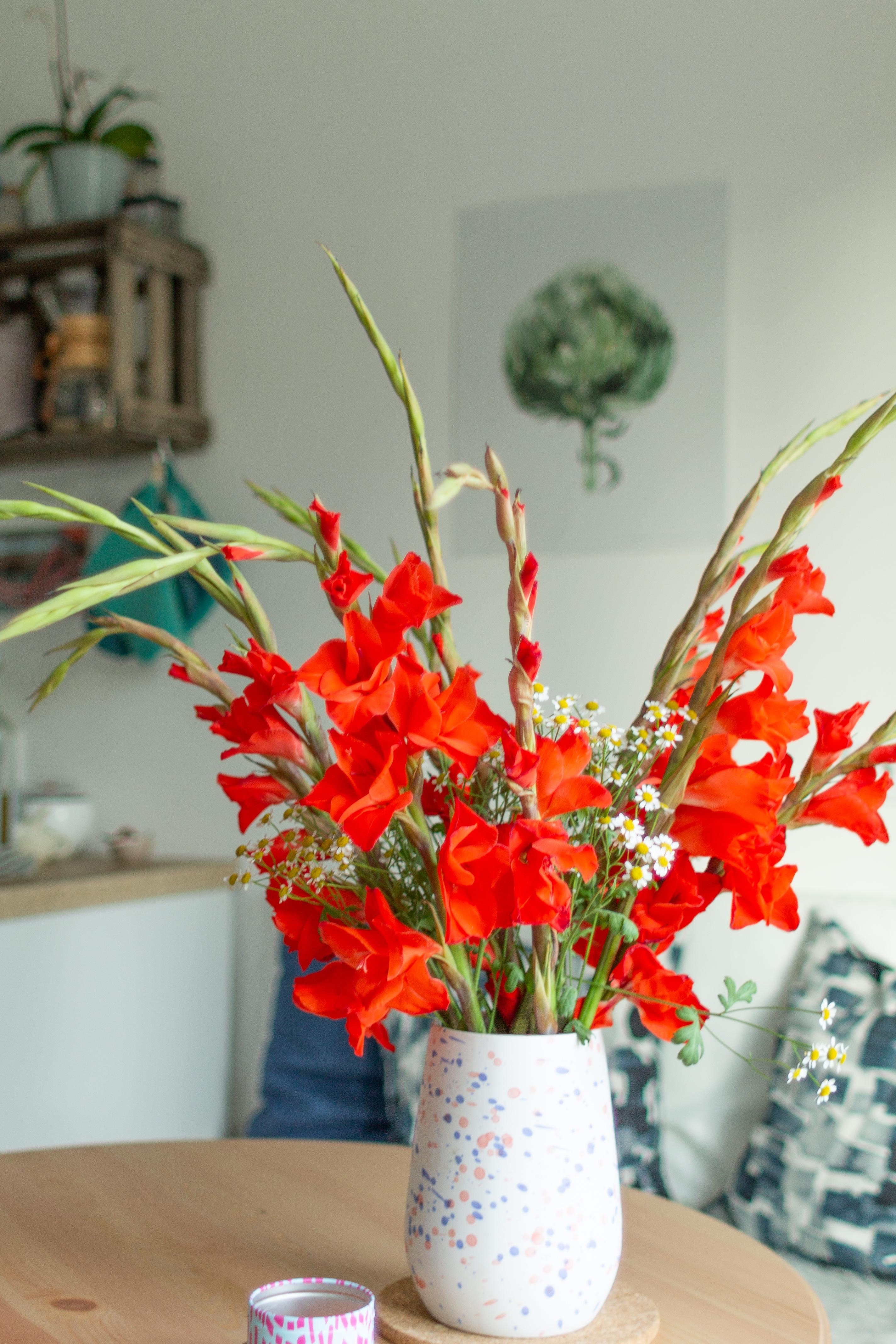 Ich mag Gladiolen einfach! #gladiolen #küche #sommer #colorfulliving