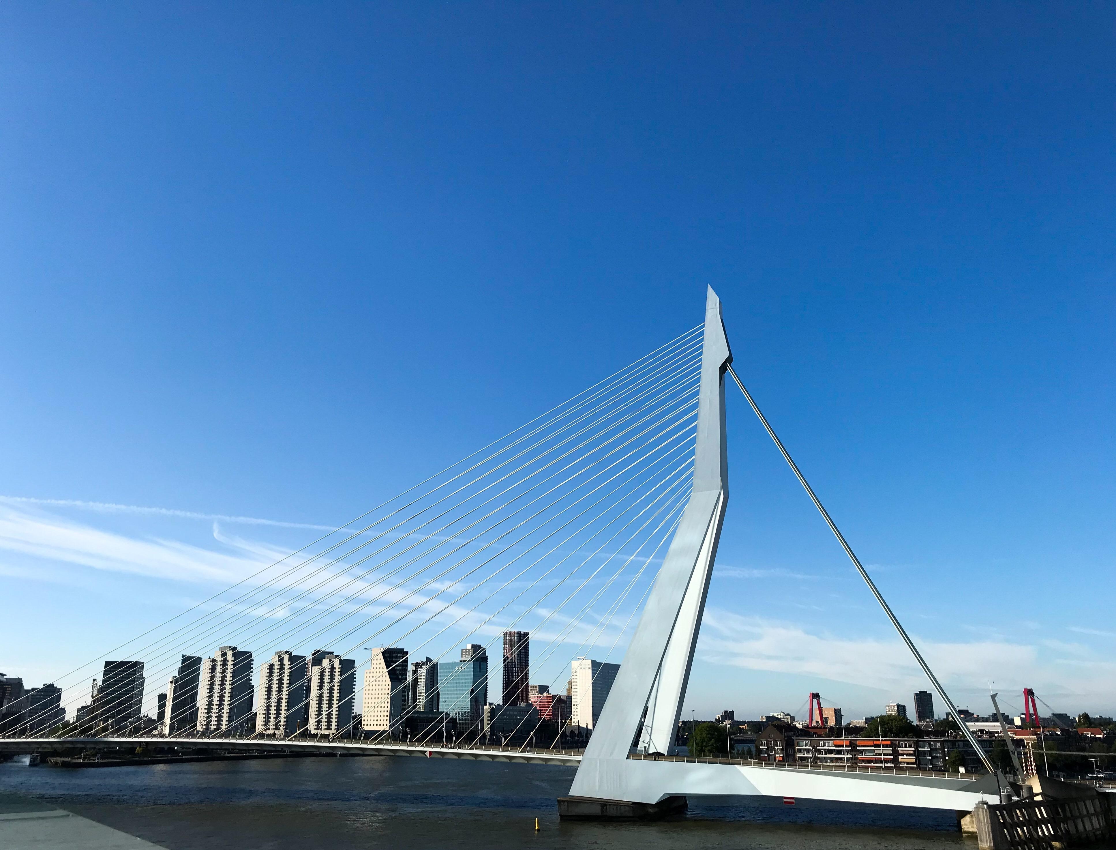 Ich war bereits im #Urlaub Und besonders begeistert hat mich #rotterdam ! Auf dem Bild die #erasmusbrücke #Städtereise
