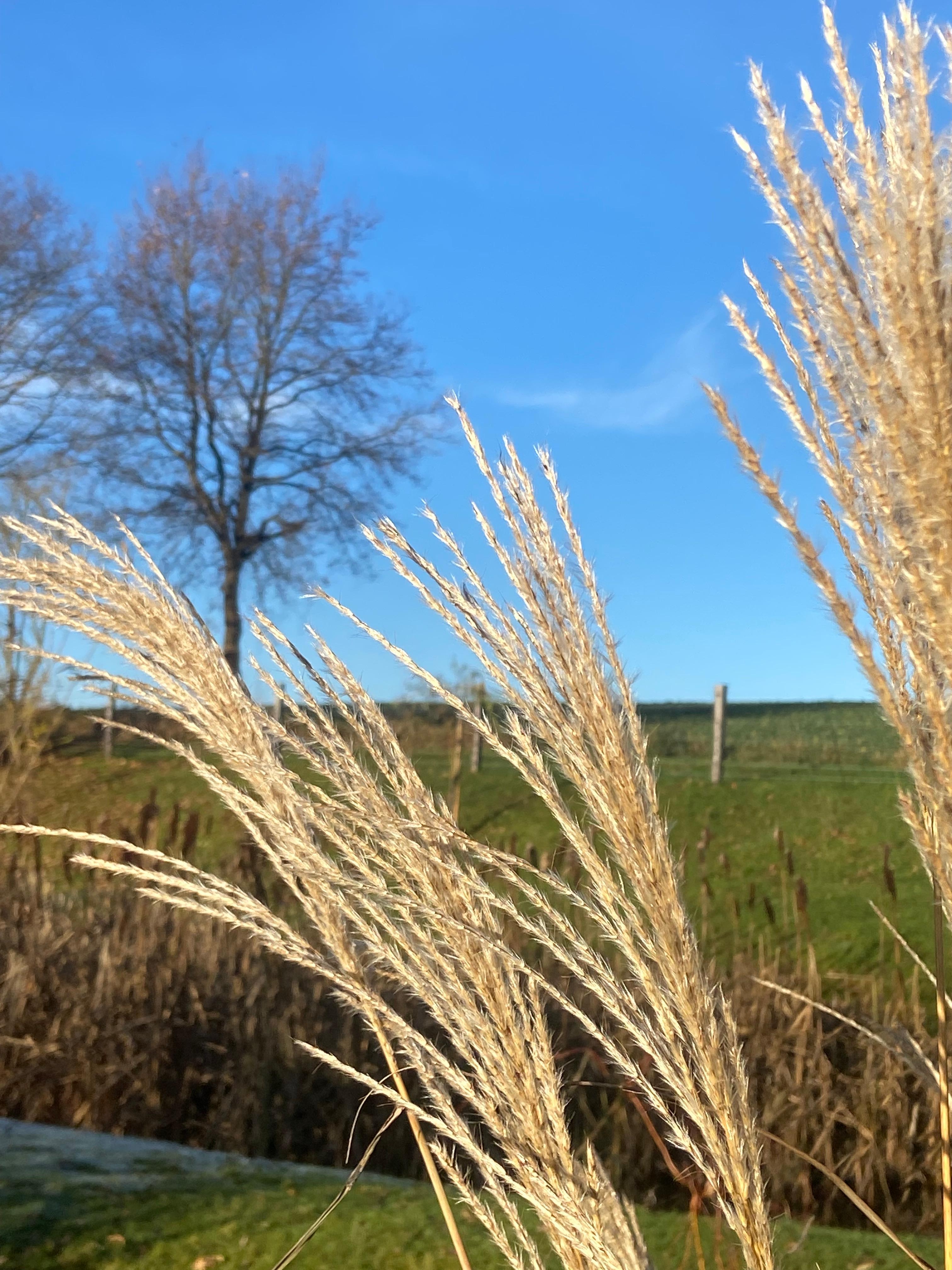 Im Dezember in der #Natur unterwegs. 