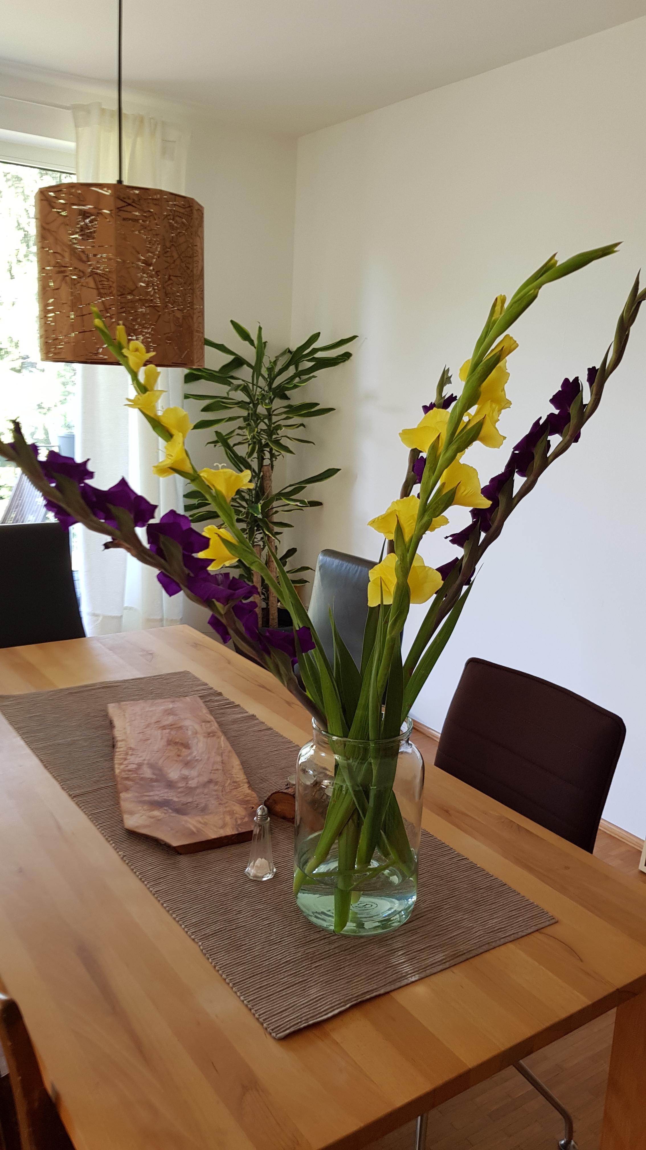 Immer frische Blumen im Haus #gladiolenliebe #😍😍