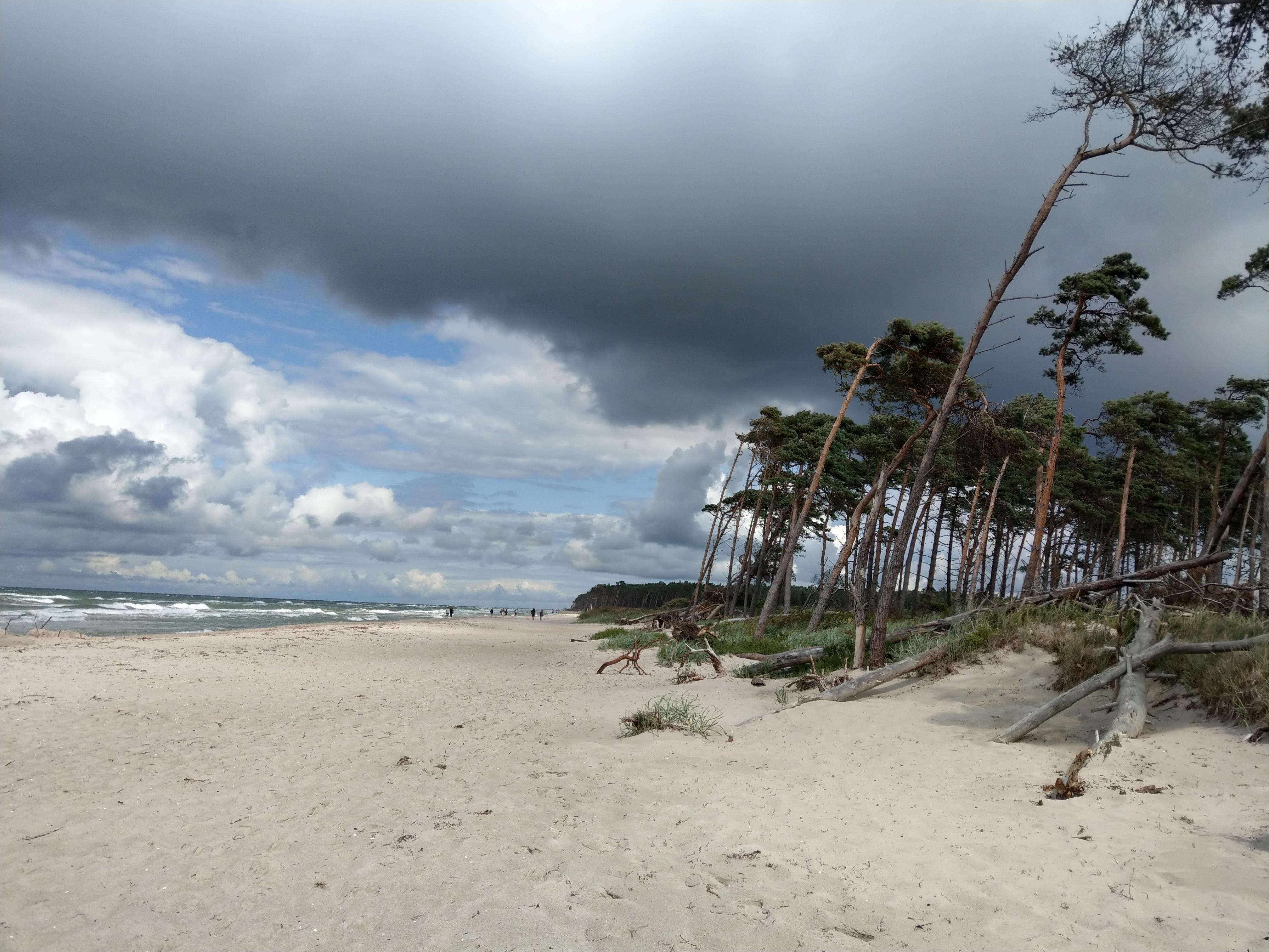 Immer wieder bester #Urlaub #Ostsee #Darss Wieviel Meer muss es für Dich sein?
@rundum_zuhause #meetthecommunity