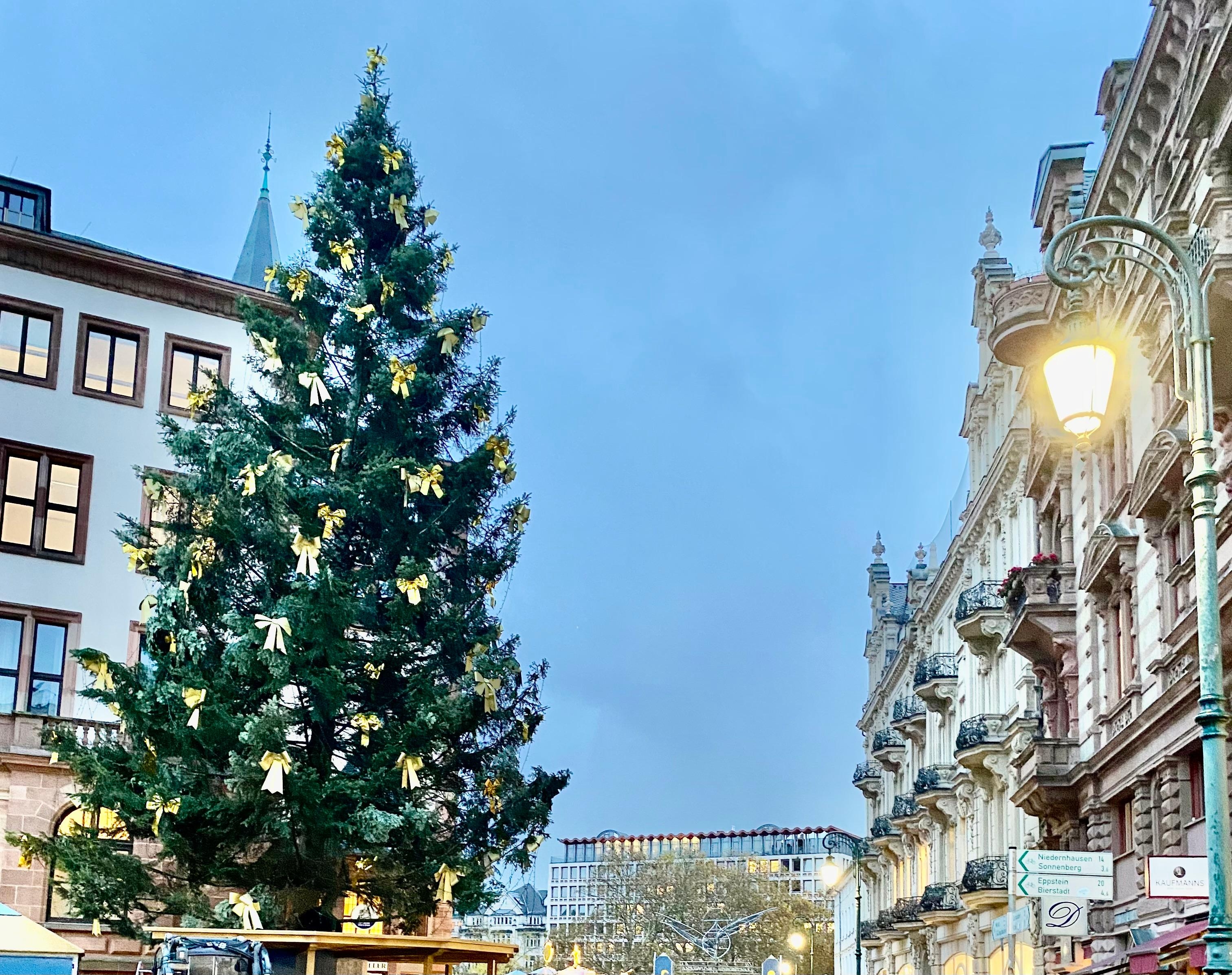 In der Stadt wurde in dieser Woche die Weihnachtszeit eingeläutet!