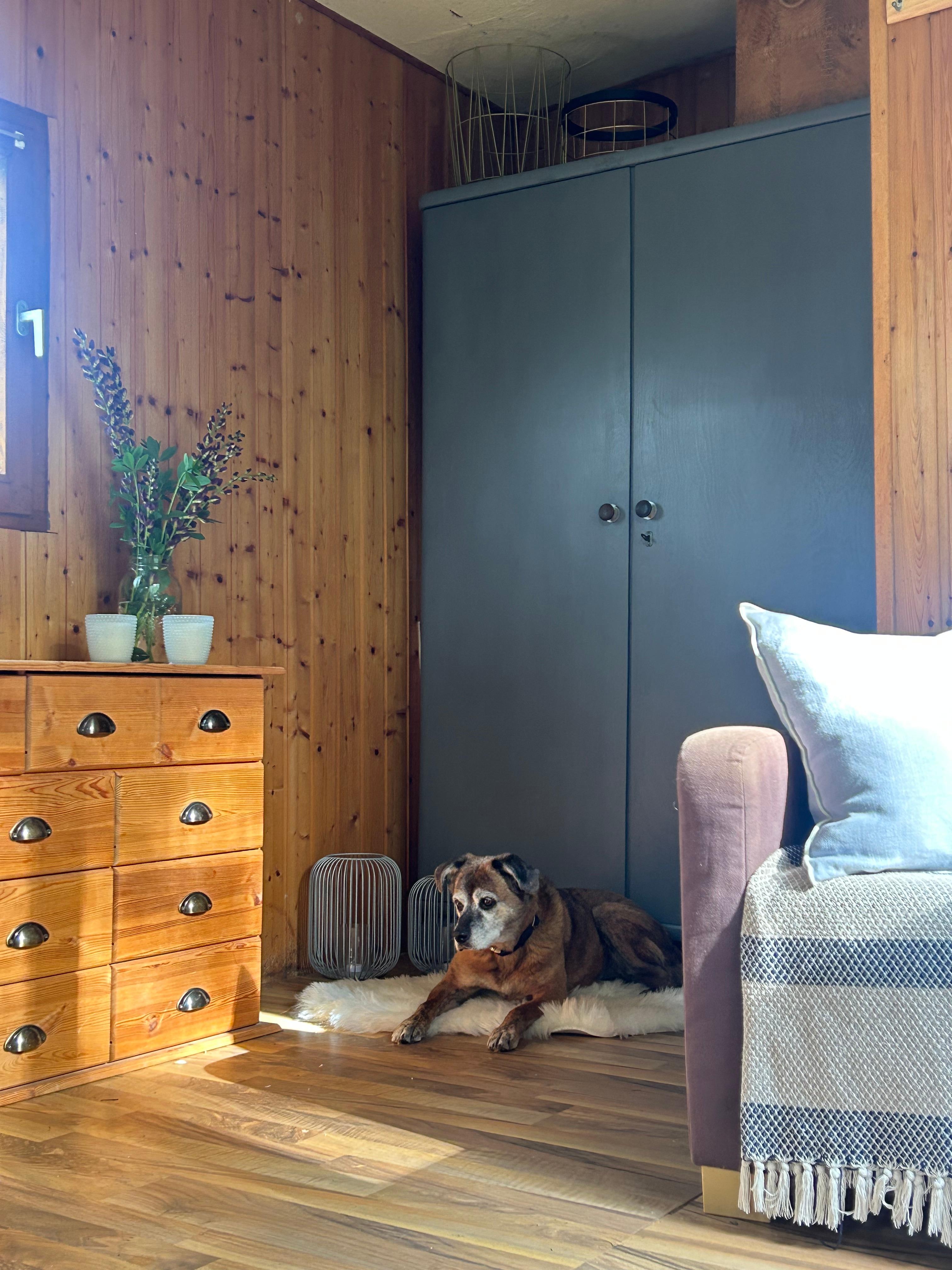 •In unsere Laube ist ein neuer - alter Holzschrank eingezogen •


#kleingarten #schrebergarten #laube #vintage #holzschrank #einrichtungsideen #kleinräume