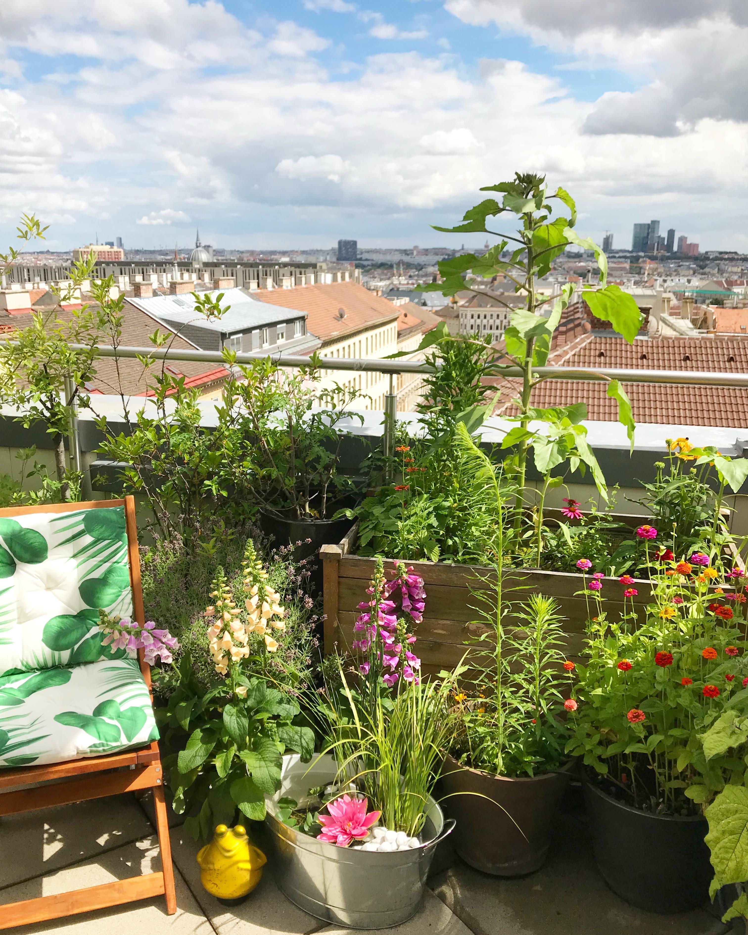 Inspiriert vom aktuellen Couch-Magazin 😃
#diy #miniteich #terrasse #sommerliebe #oase #wien #rooftop  #balkon #urban