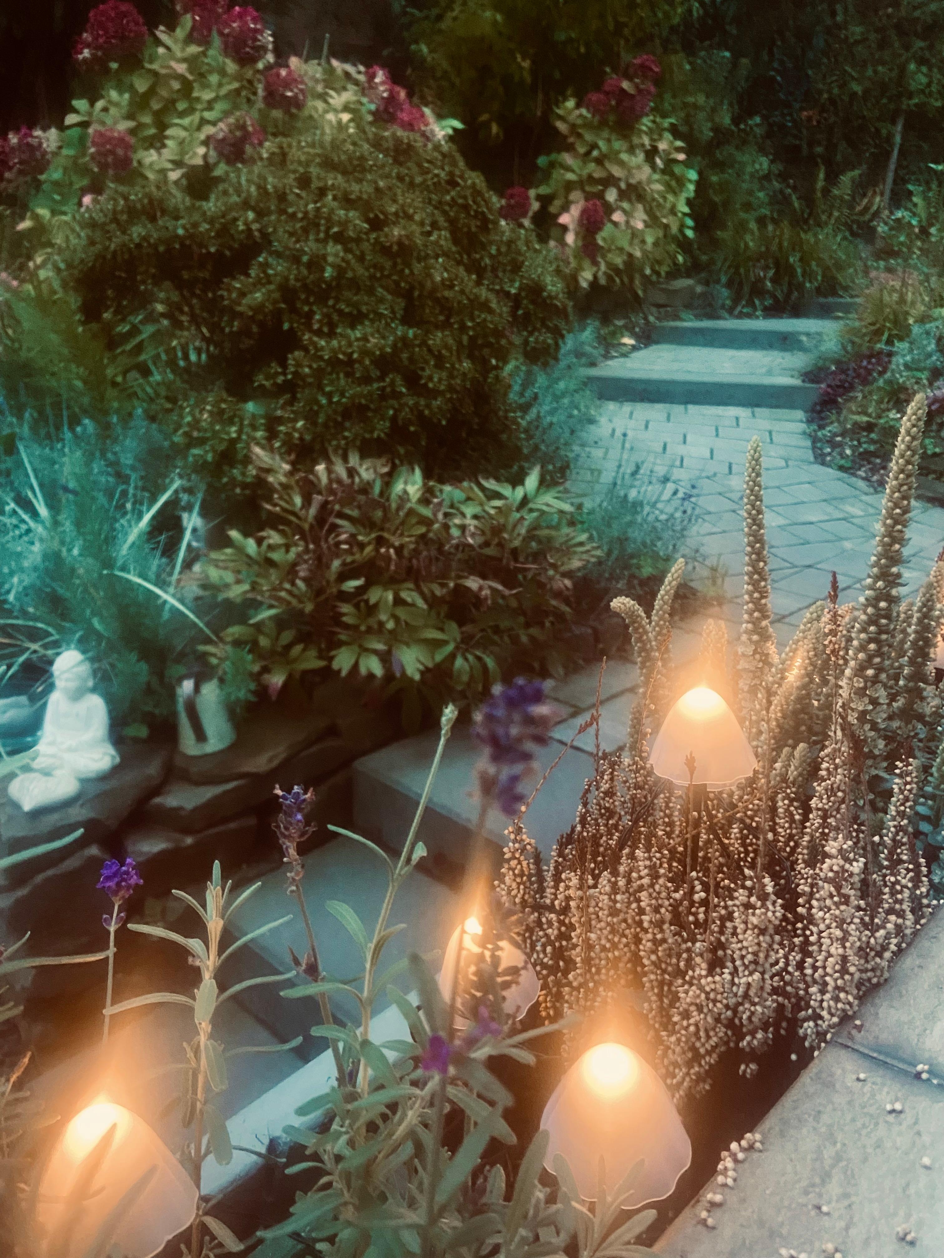 Inspiriert vom Spaziergang 😄🍄‍🟫
#Herbst #Garten 