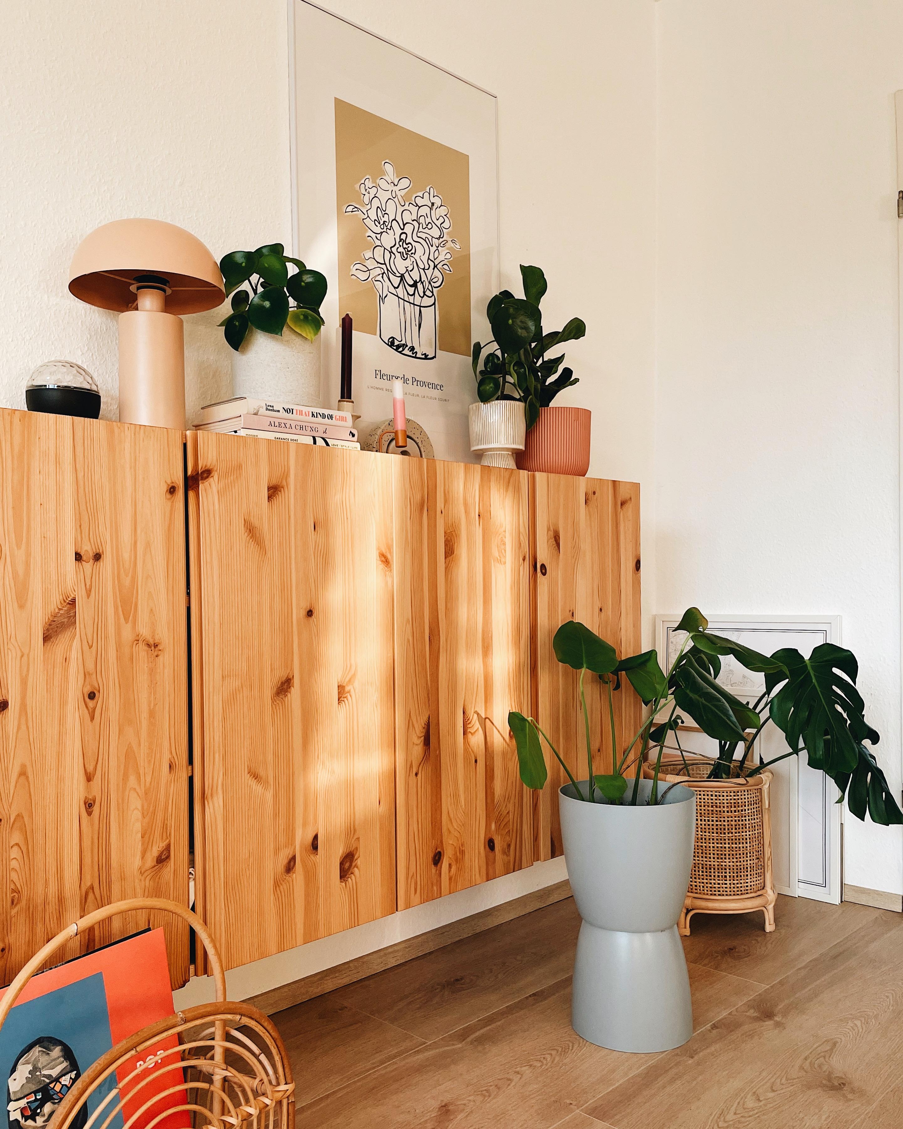 Insta-inspired #diy 🪴 #plants #livingroom #couchliebt #green #inspo 