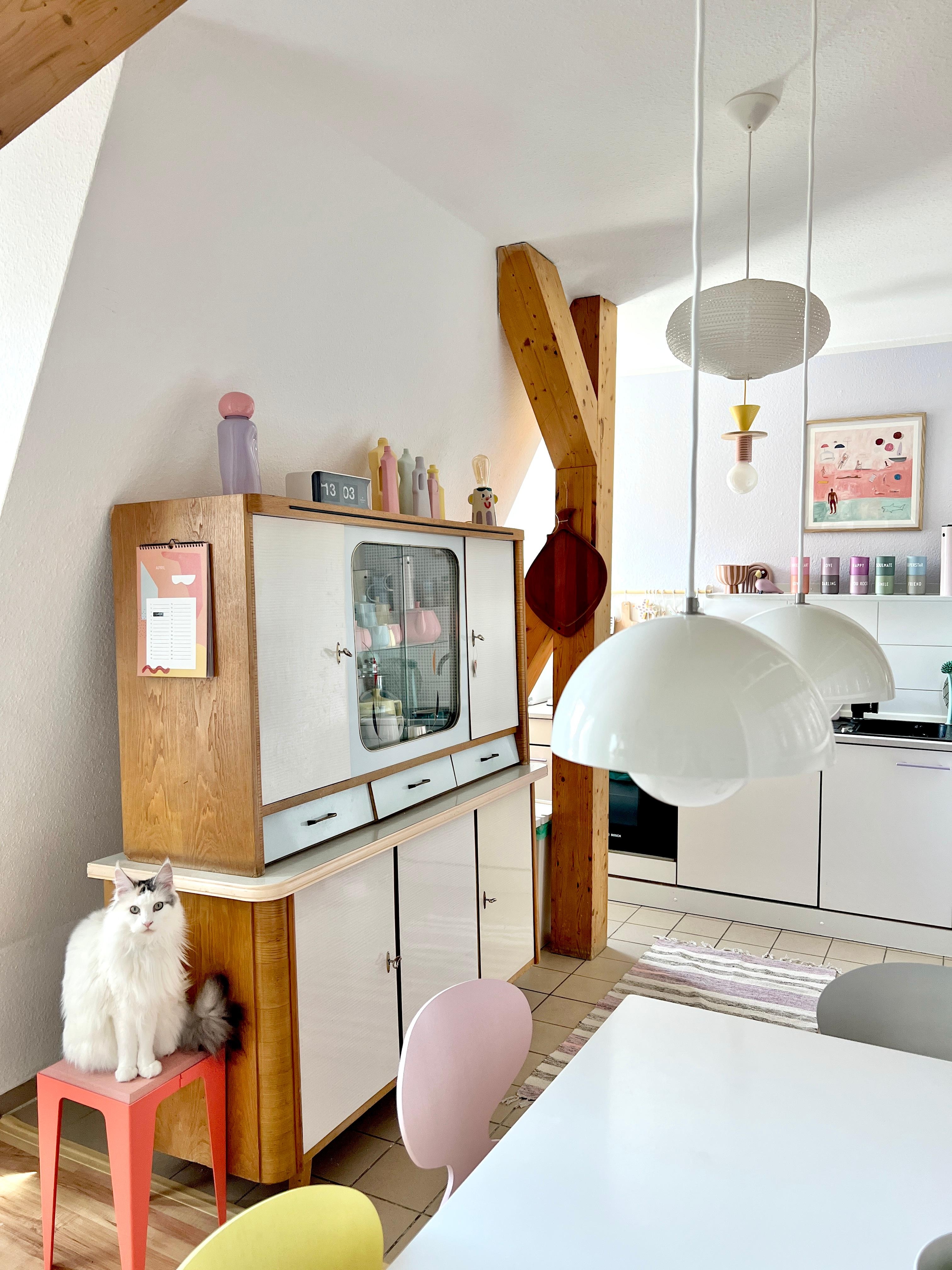 #interior #interiordesign #couchliebt #küche #pastell #buffetschrank #50er #60er #vintage #katze #mainecoon #flowerpot 