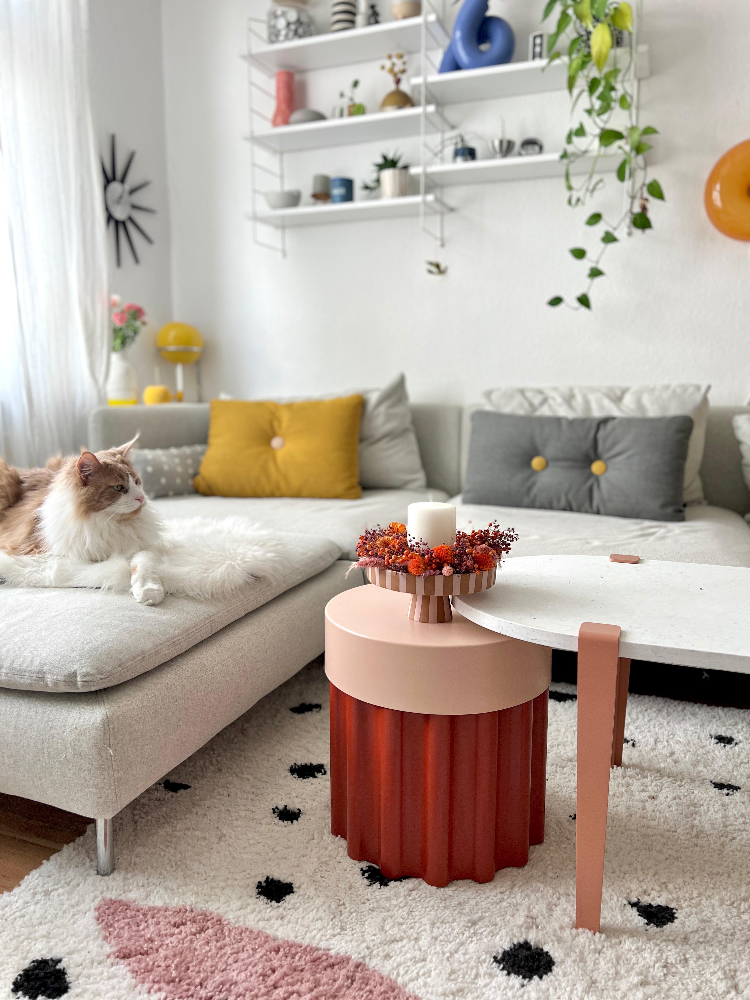 #interior #interiordesign #couchliebt #wohnzimmer #tesammans #katze #gelb #rosa #ikea